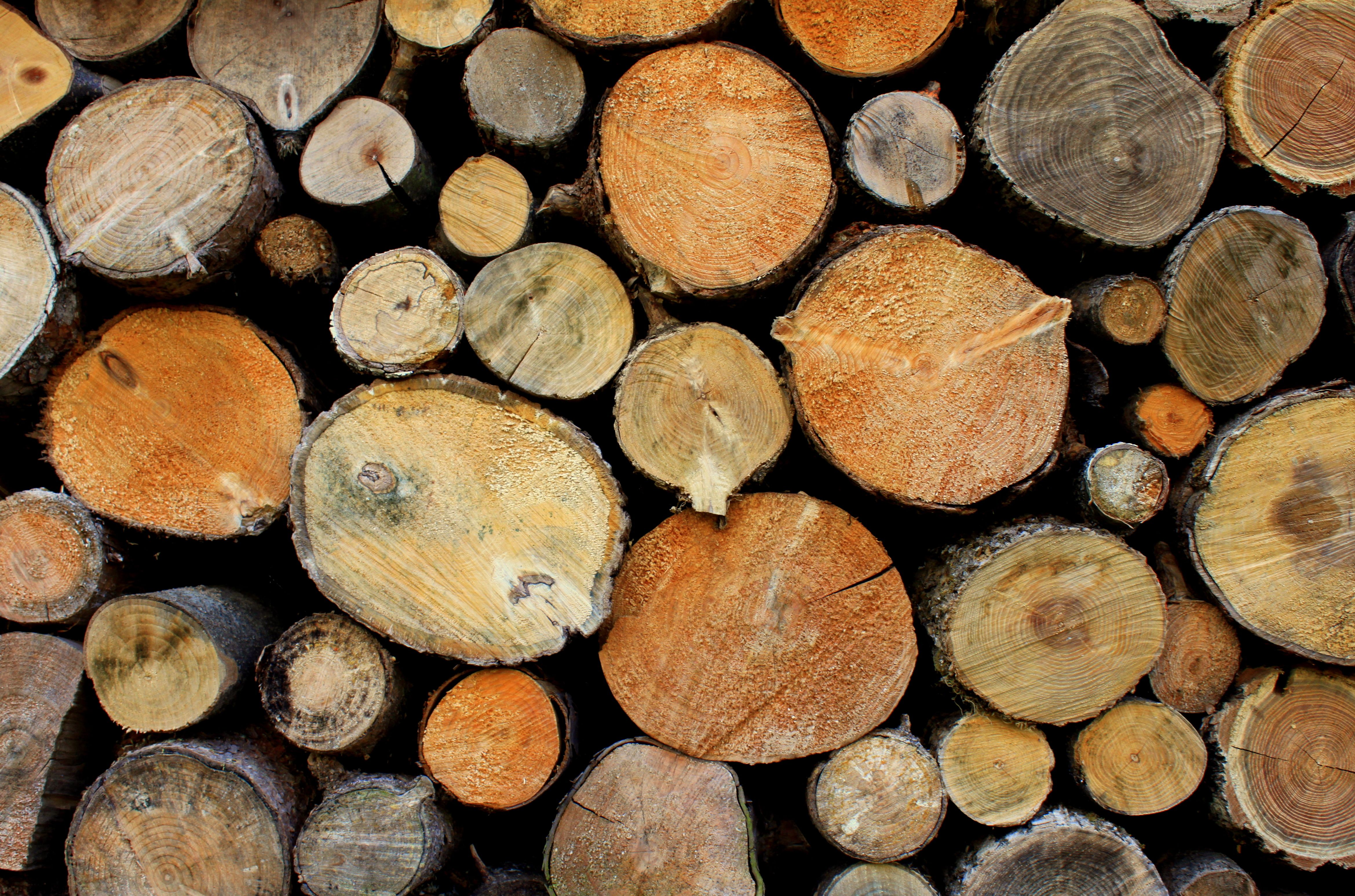 Firewood HD Wallpaper, For Free Download