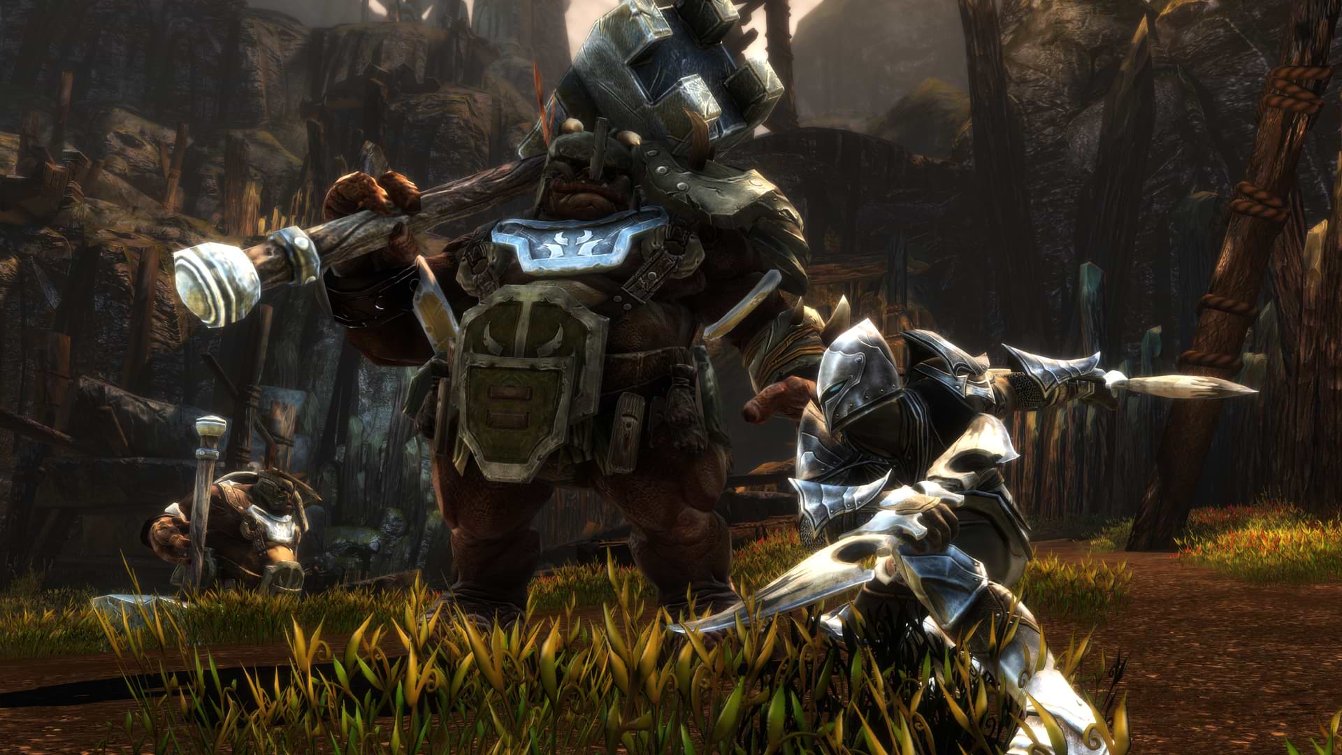 Kingdoms Of Amalur Re Reckoning Review
