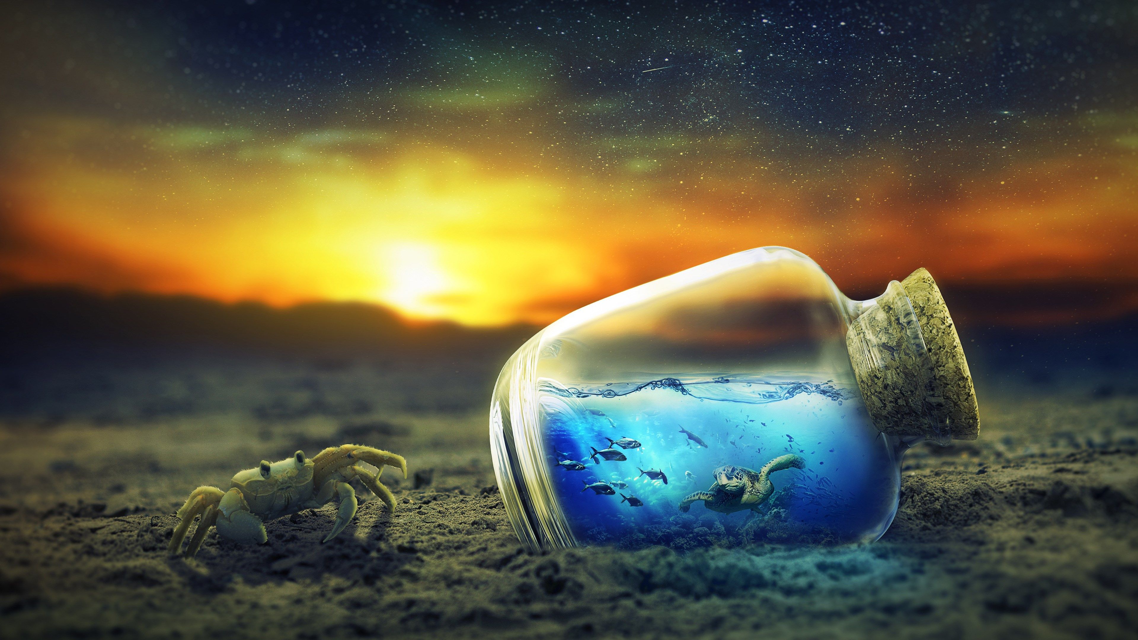 Crab 4K wallpaper for your desktop or mobile screen free and easy to download