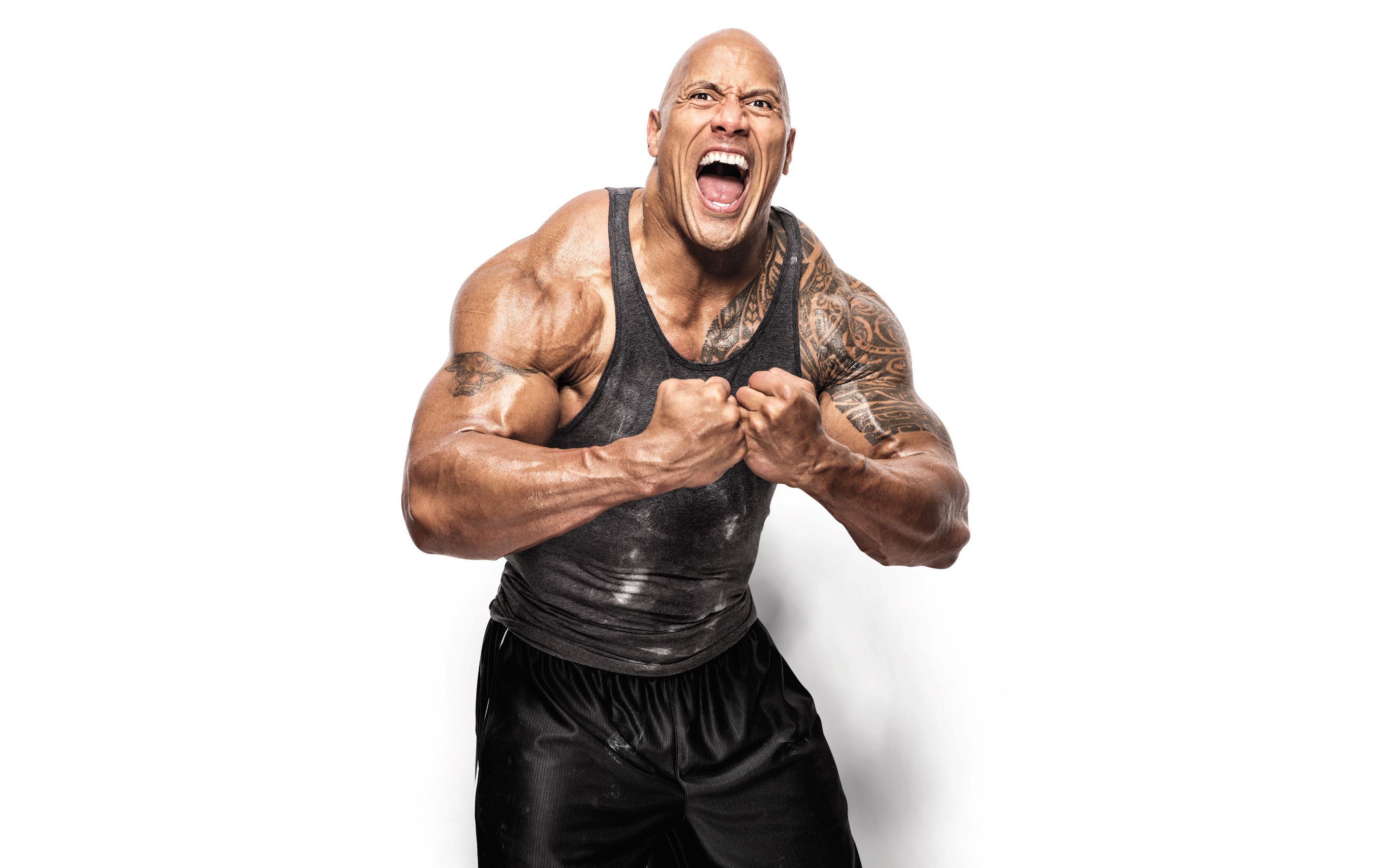 The Rock Gym Wallpapers - Wallpaper Cave