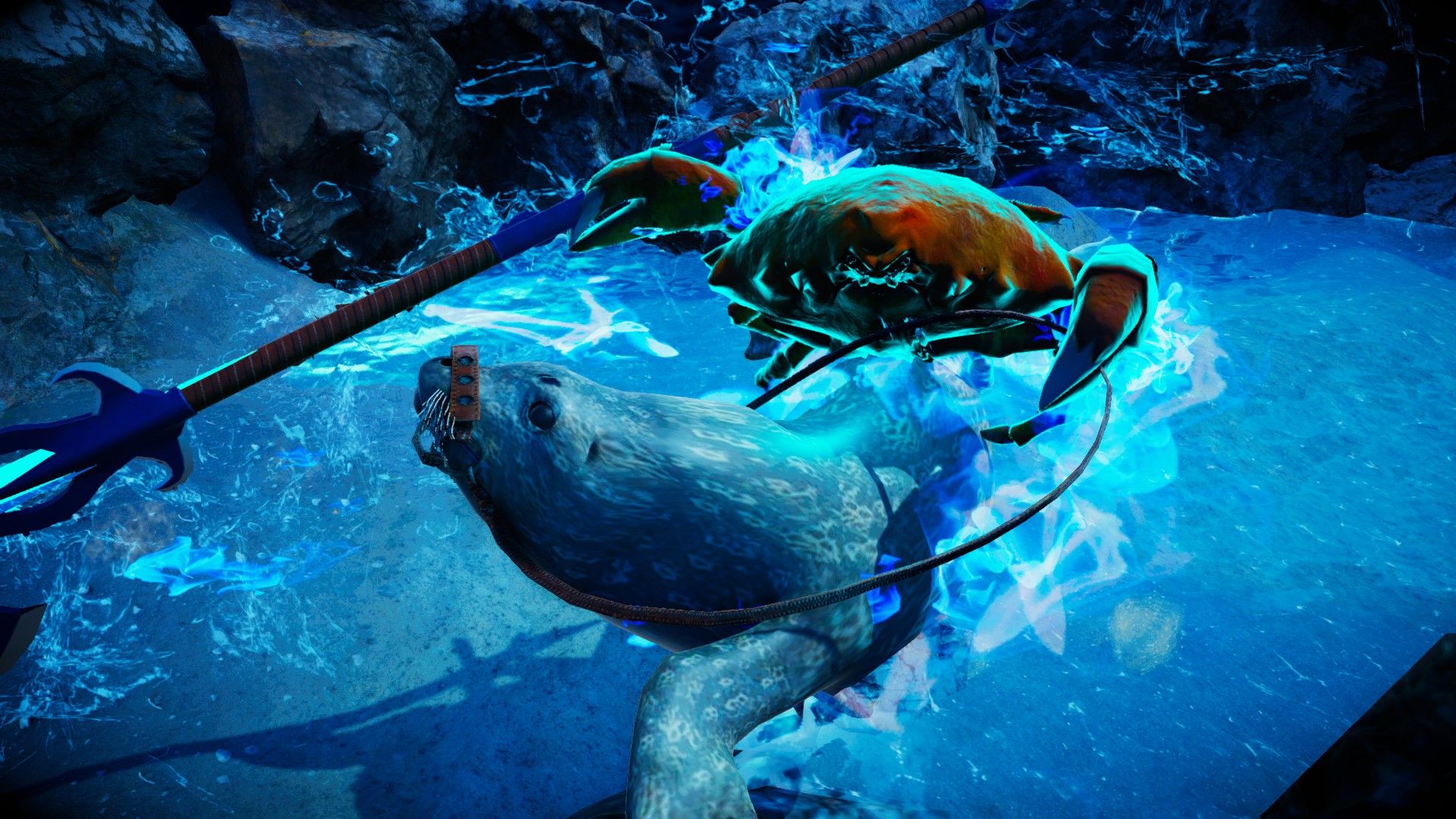 Fight Crab Wallpapers - Wallpaper Cave