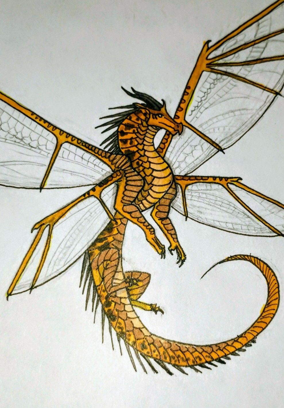 Wings of fire, cricket, dragon. Wings of fire, Dragon wings, Wings