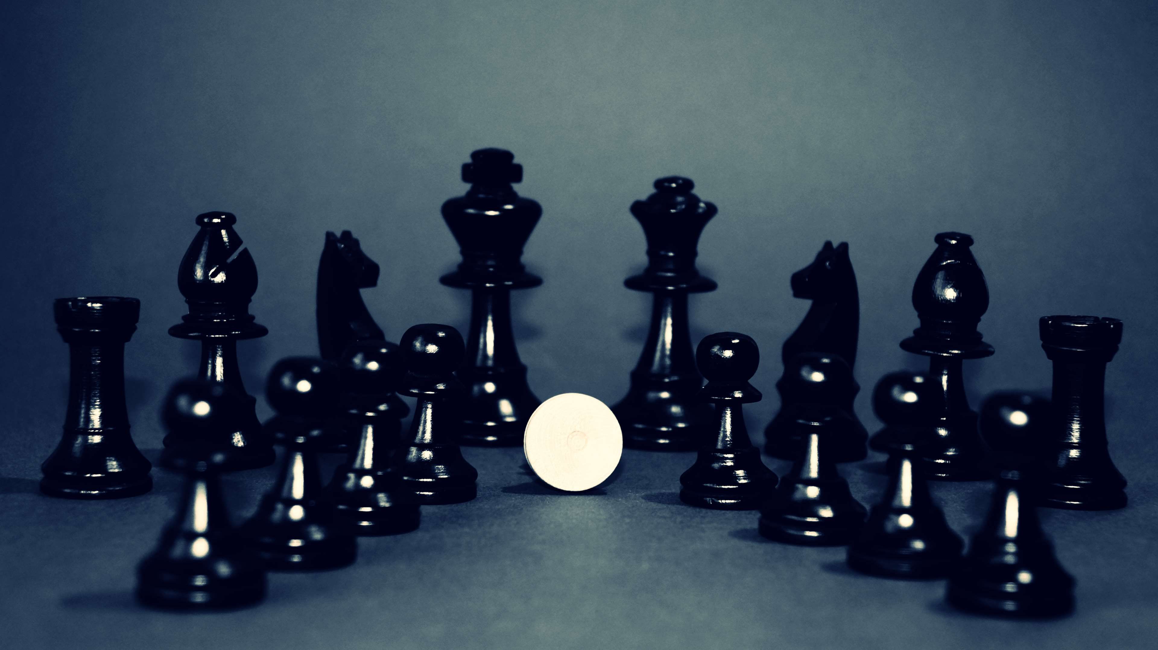 black and white, chess, chess pieces, king, knights, pawn, queen, white 4k wallpaper