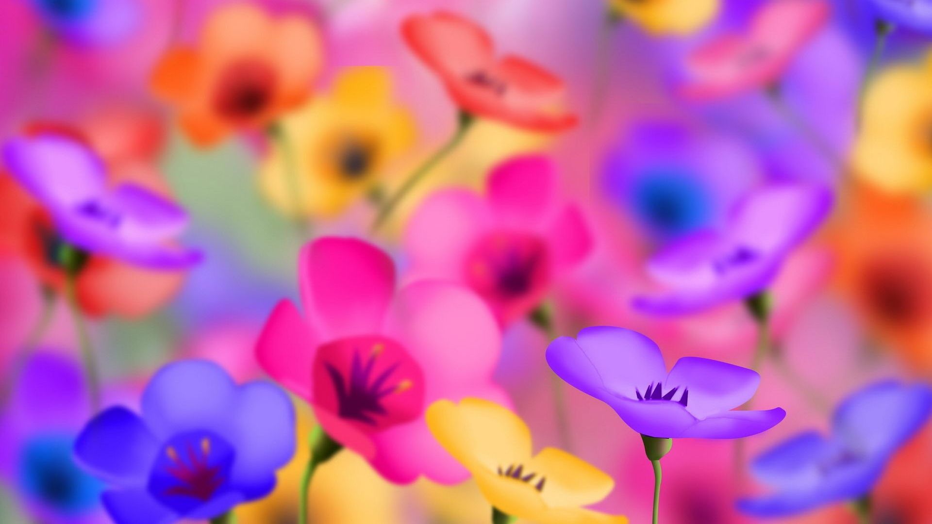 Bright Colored Flowers wallpaperx1080