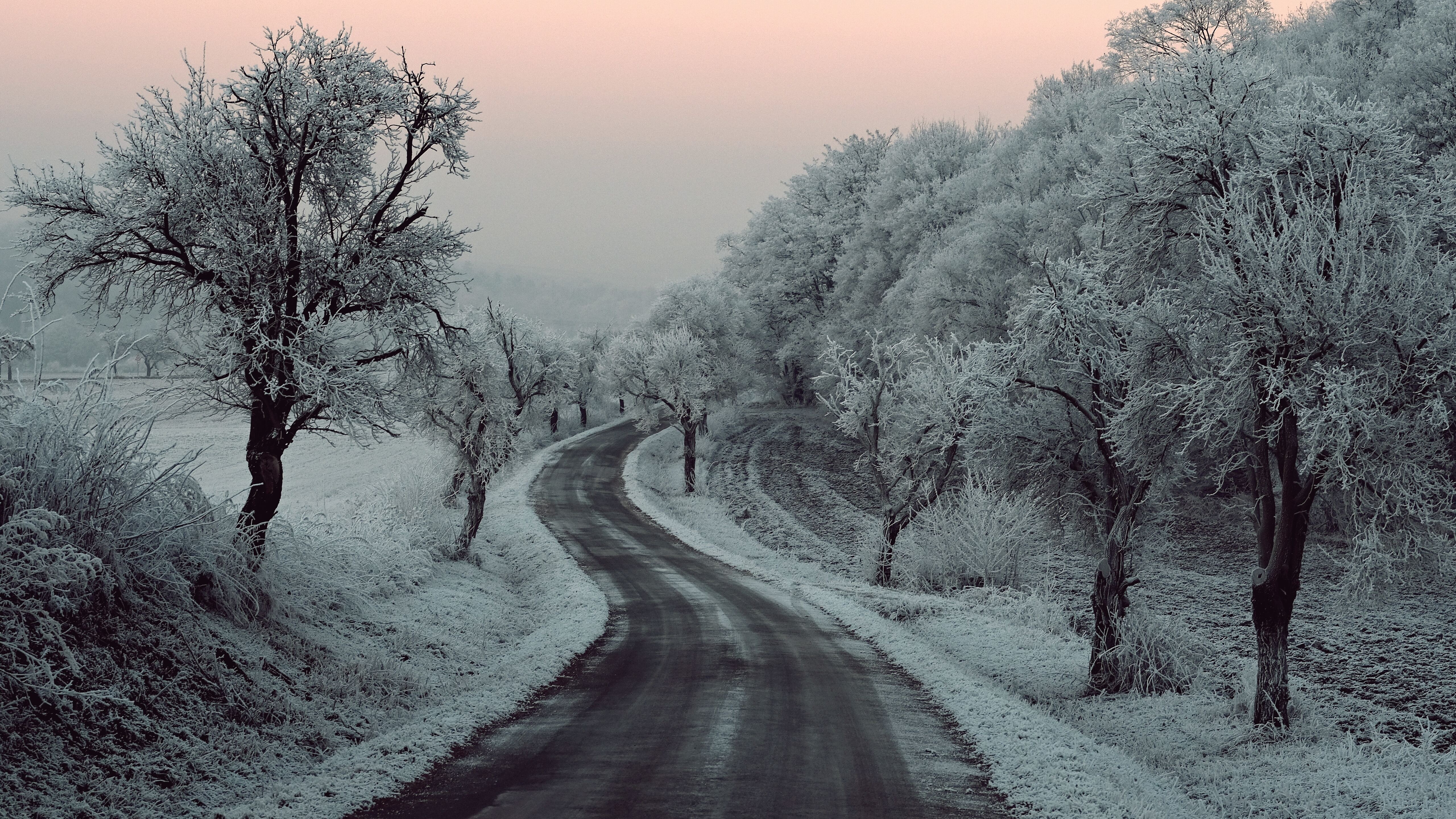 Winter Road Snow Frozen Trees On Sides 5k 5k HD 4k Wallpaper, Image, Background, Photo and Picture