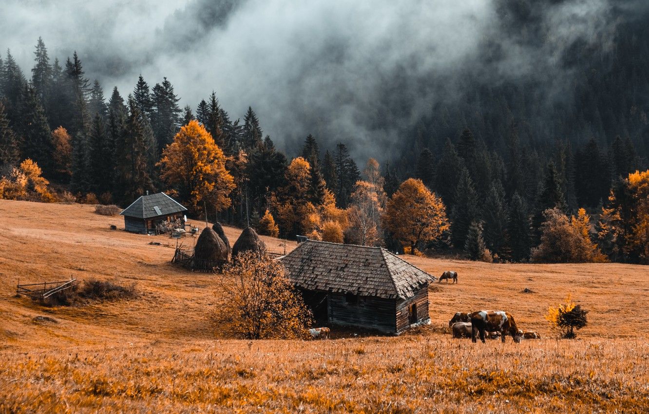 Wallpaper autumn, nature, fog, farm image for desktop, section природа