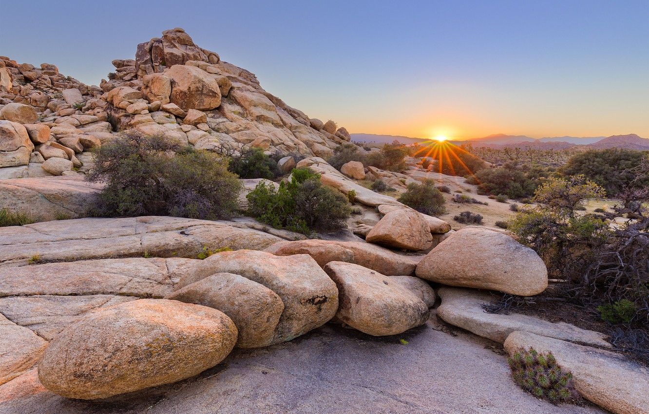 Wallpaper sunset, CA, USA, California, Joshua Tree National Park image for desktop, section пейзажи