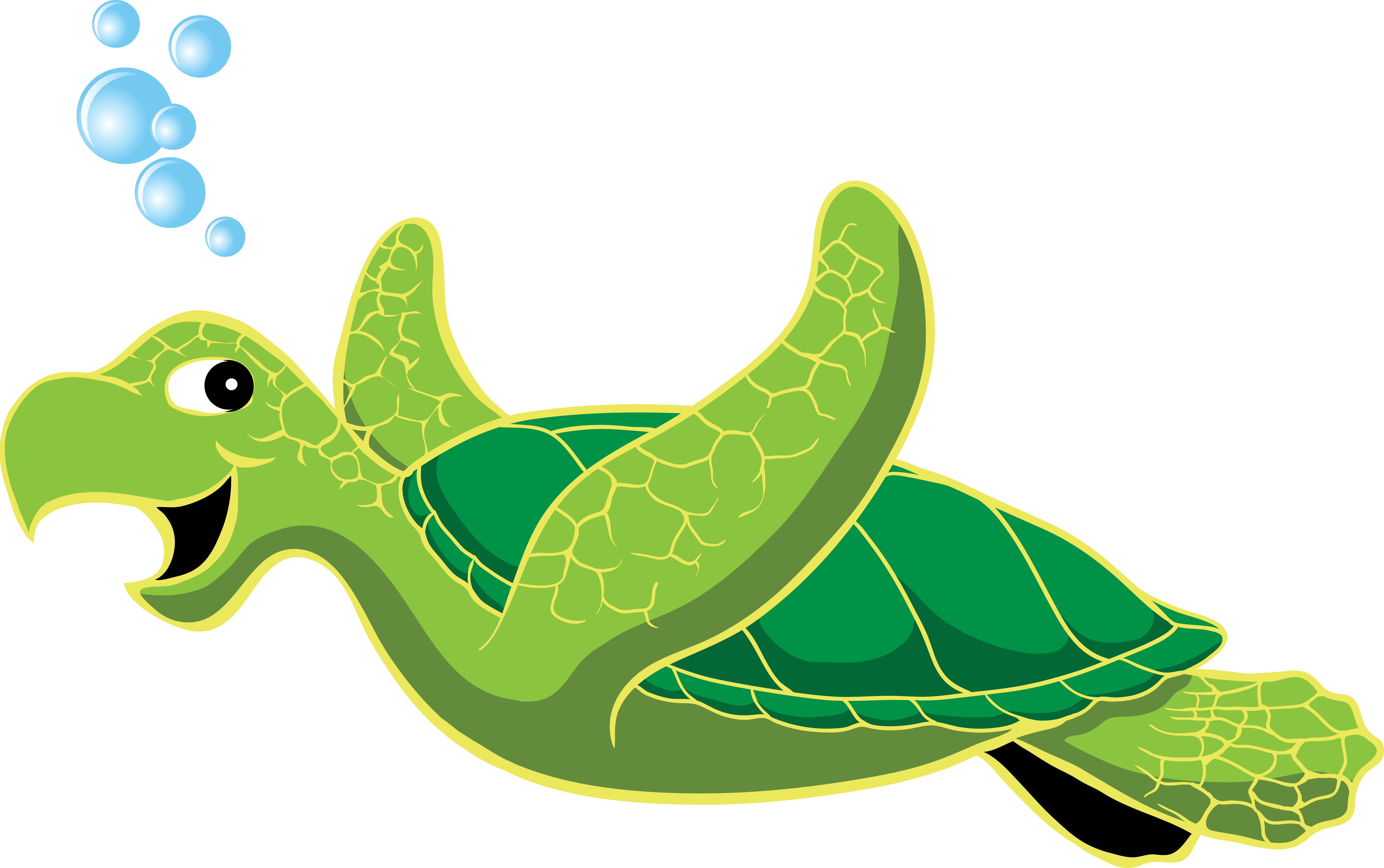 Animated Turtle Wallpaper Free Animated Turtle Background