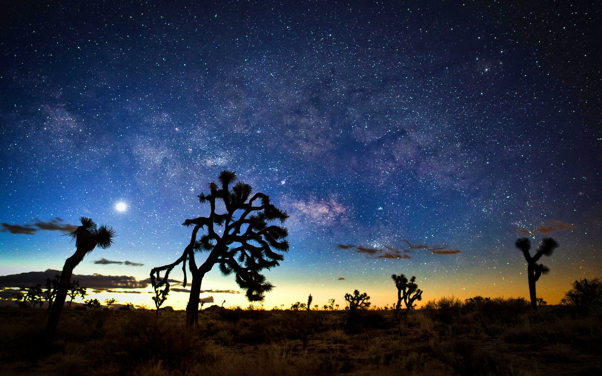 Milky Way At Night Desert Landscapes With Rocks And Cactus Joshua Tree National Park California Usa HD Wallpaper 2560x1600, Wallpaper13.com
