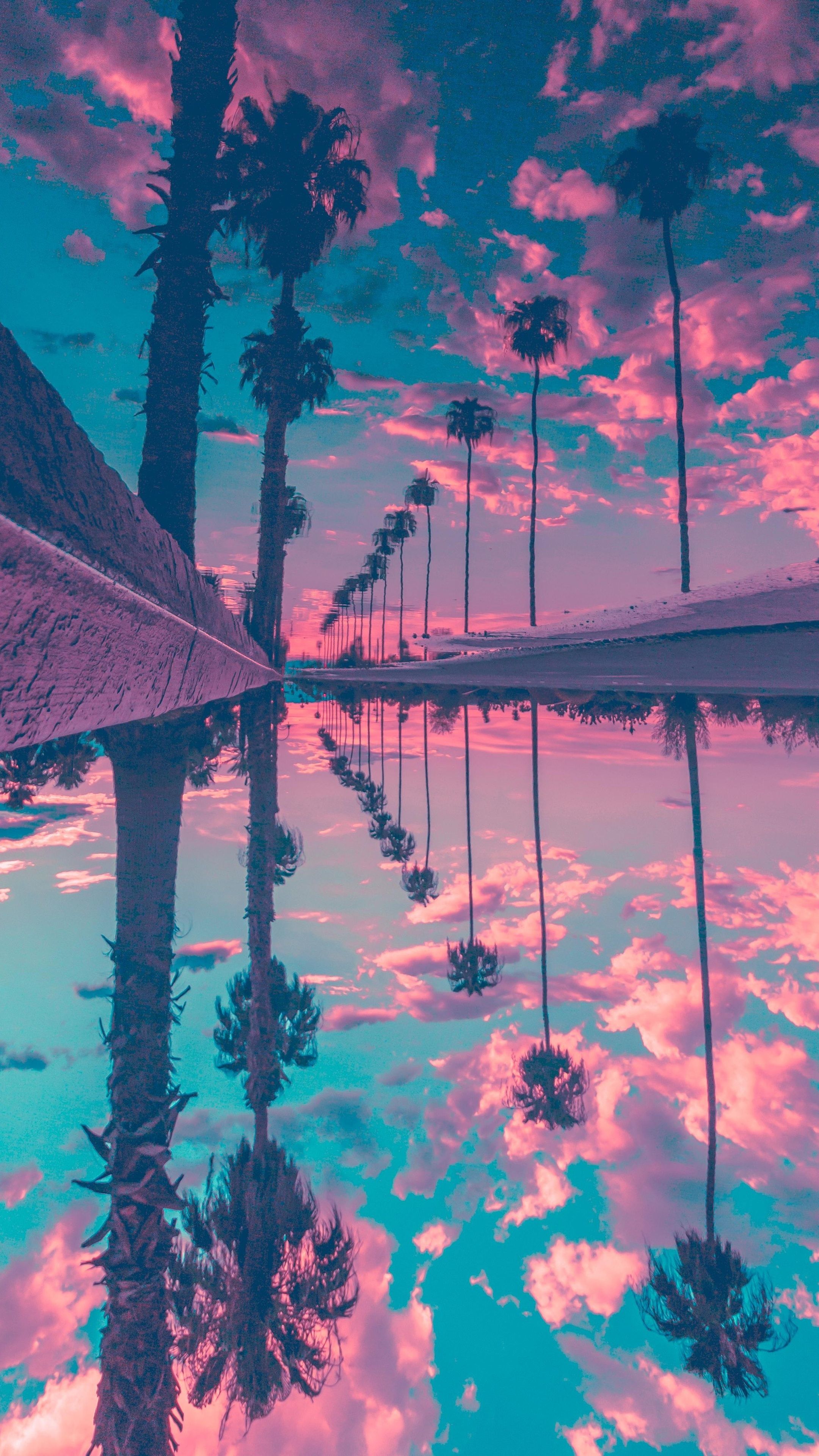 Palm Trees Reflection Sky HD Wallpapers - Wallpaper Cave