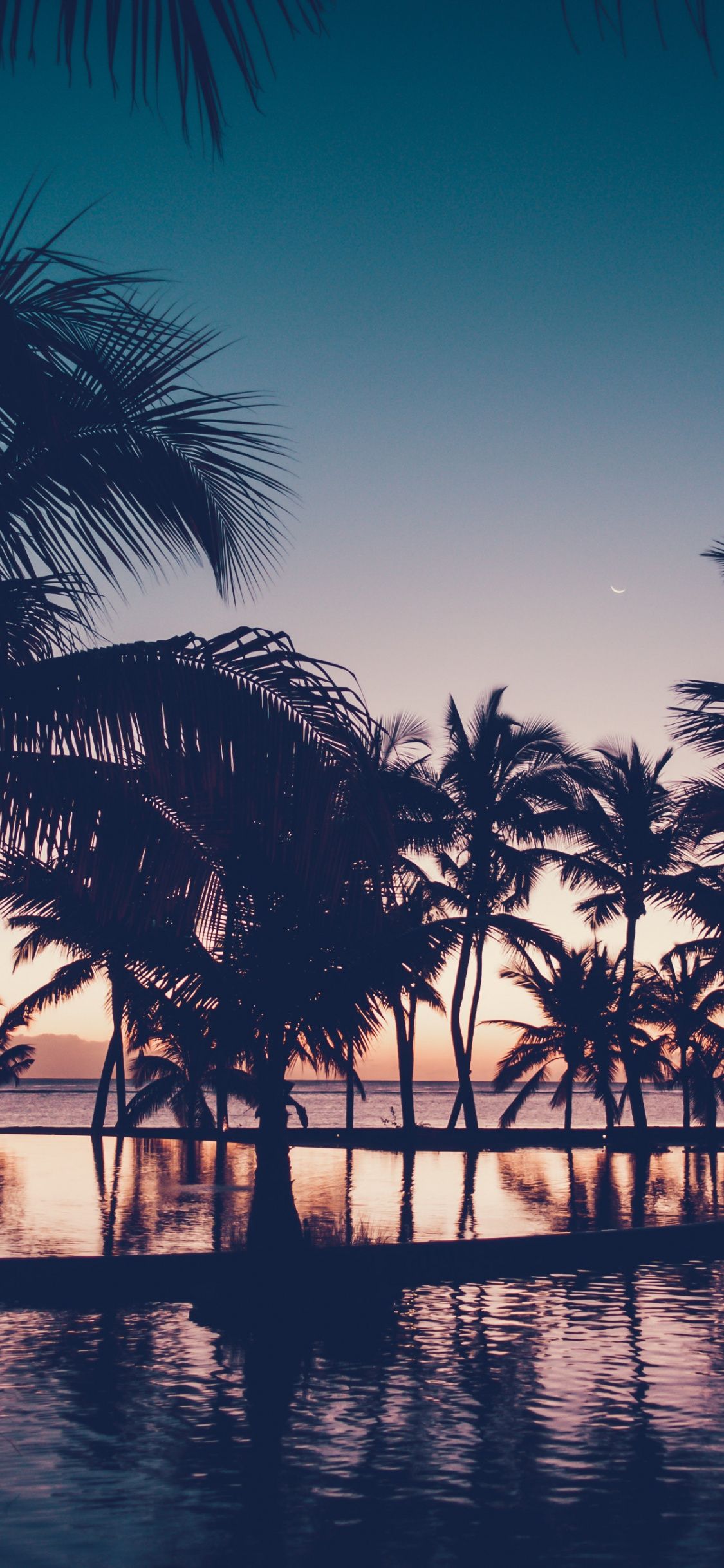 Dawn, dark, sunset, palm tree, resort, reflections wallpaper, 3872x HD image, picture, 79d036fb