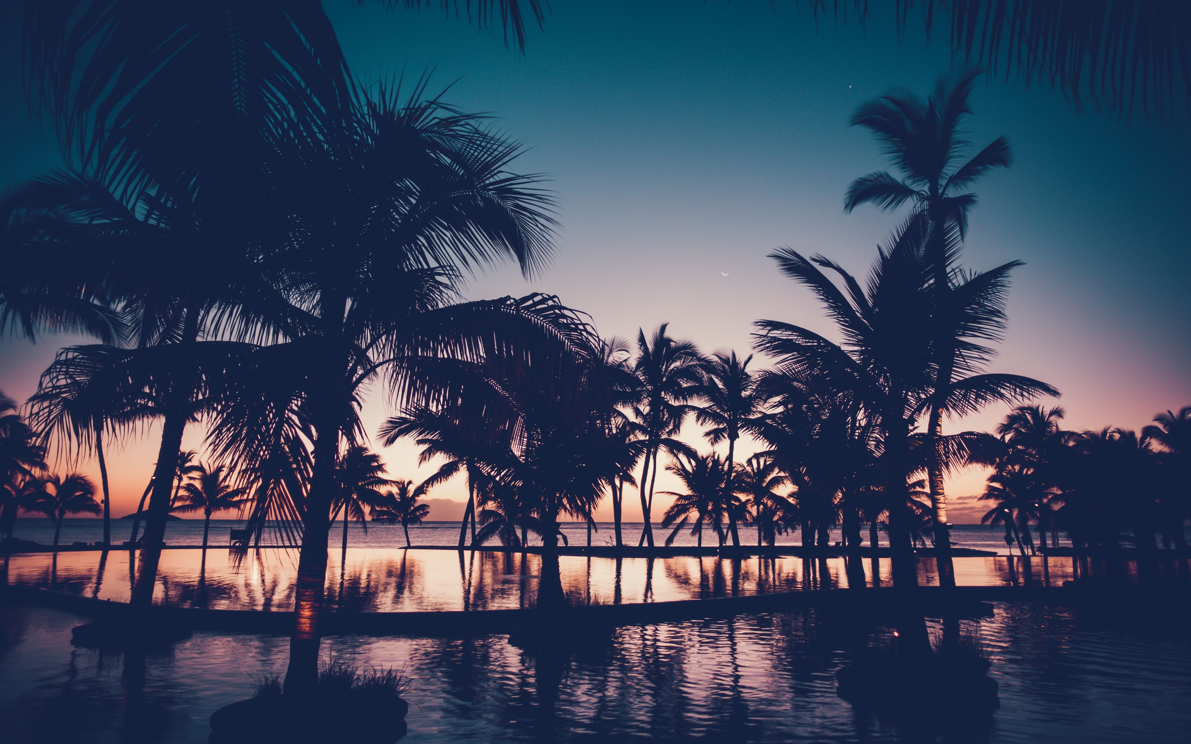 Download Dawn, dark, sunset, palm tree, resort, reflections wallpaper, 3840x 4K Ultra HD 16: Widescreen