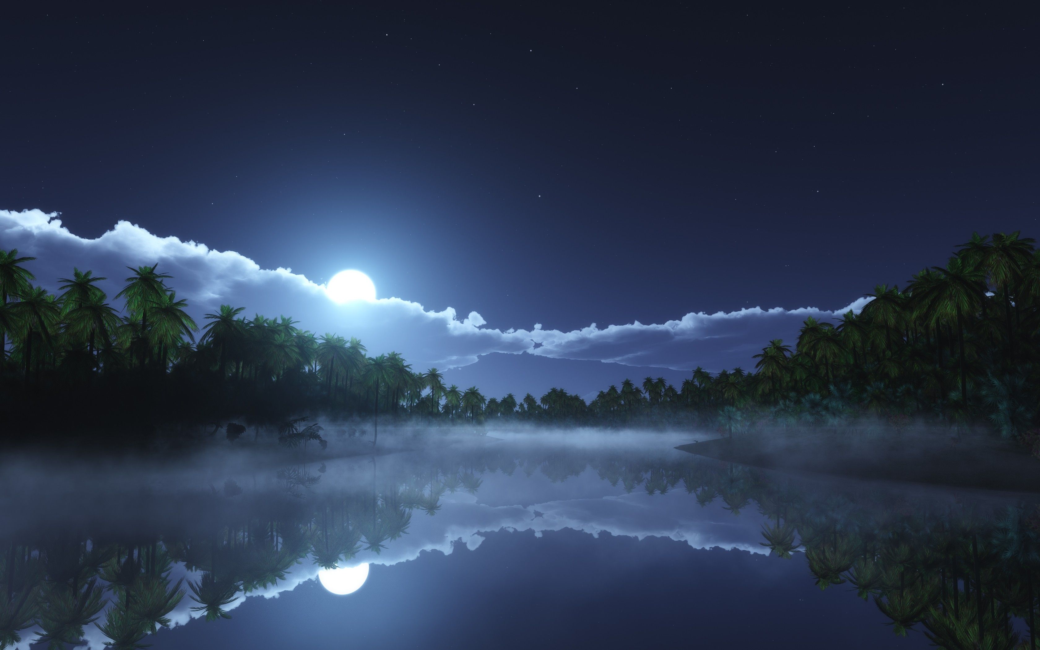 #nature, #tropical, #mist, #reflection, #landscape, #palm trees, #moonlight, #starry night, #clouds, #lake, wallpaper. Mocah.org HD Wallpaper