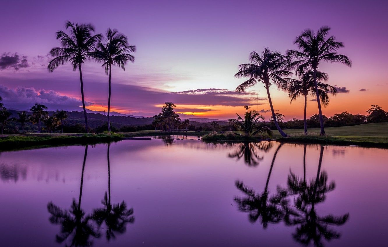 Wallpaper water, sunset, tropics, reflection, palm trees, Puerto Rico, Puerto Rico, Fajardo, Fajardo image for desktop, section пейзажи
