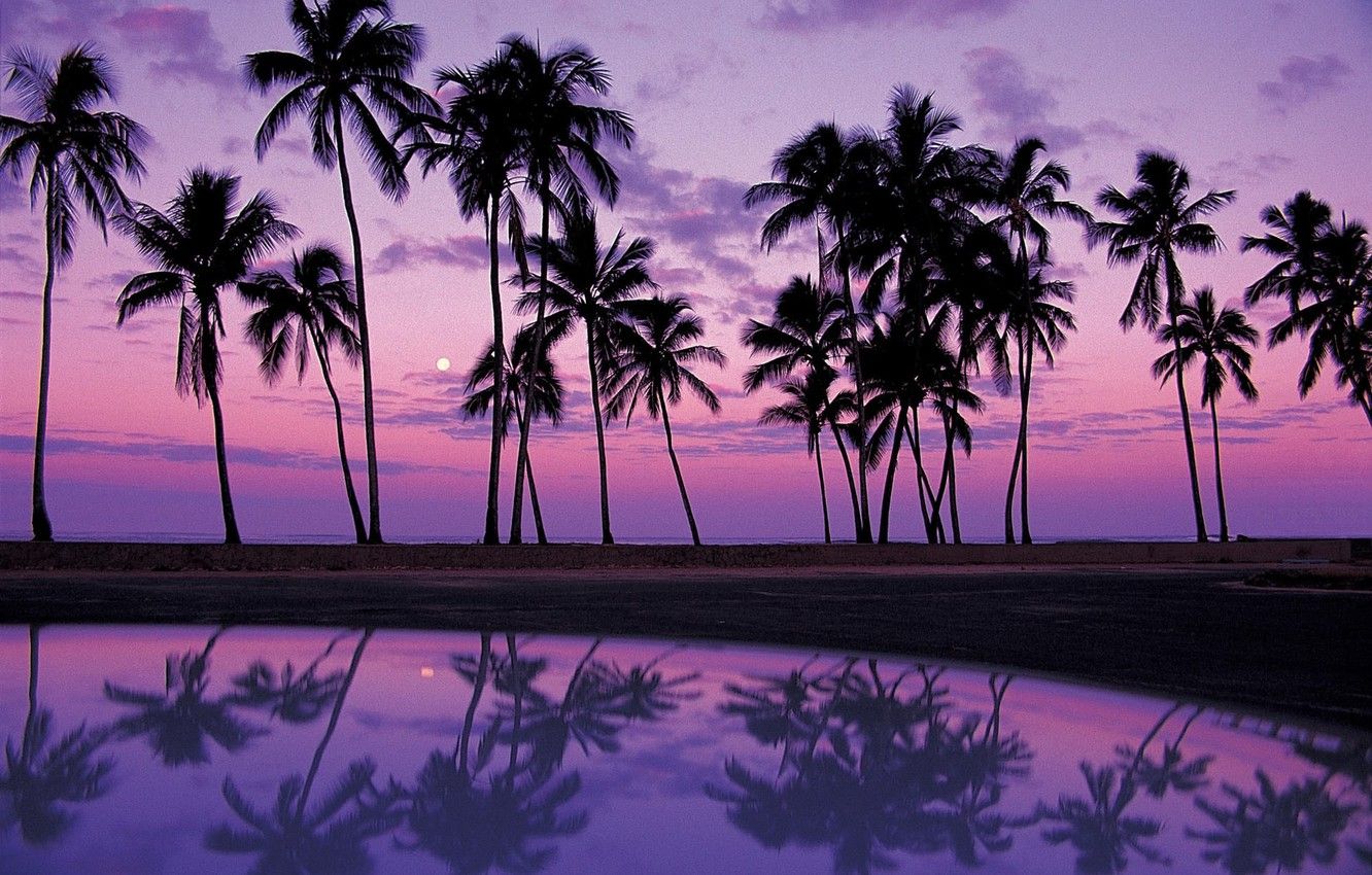 Wallpaper sand, water, sunset, reflection, palm trees, shadows, Africa, purple background image for desktop, section природа
