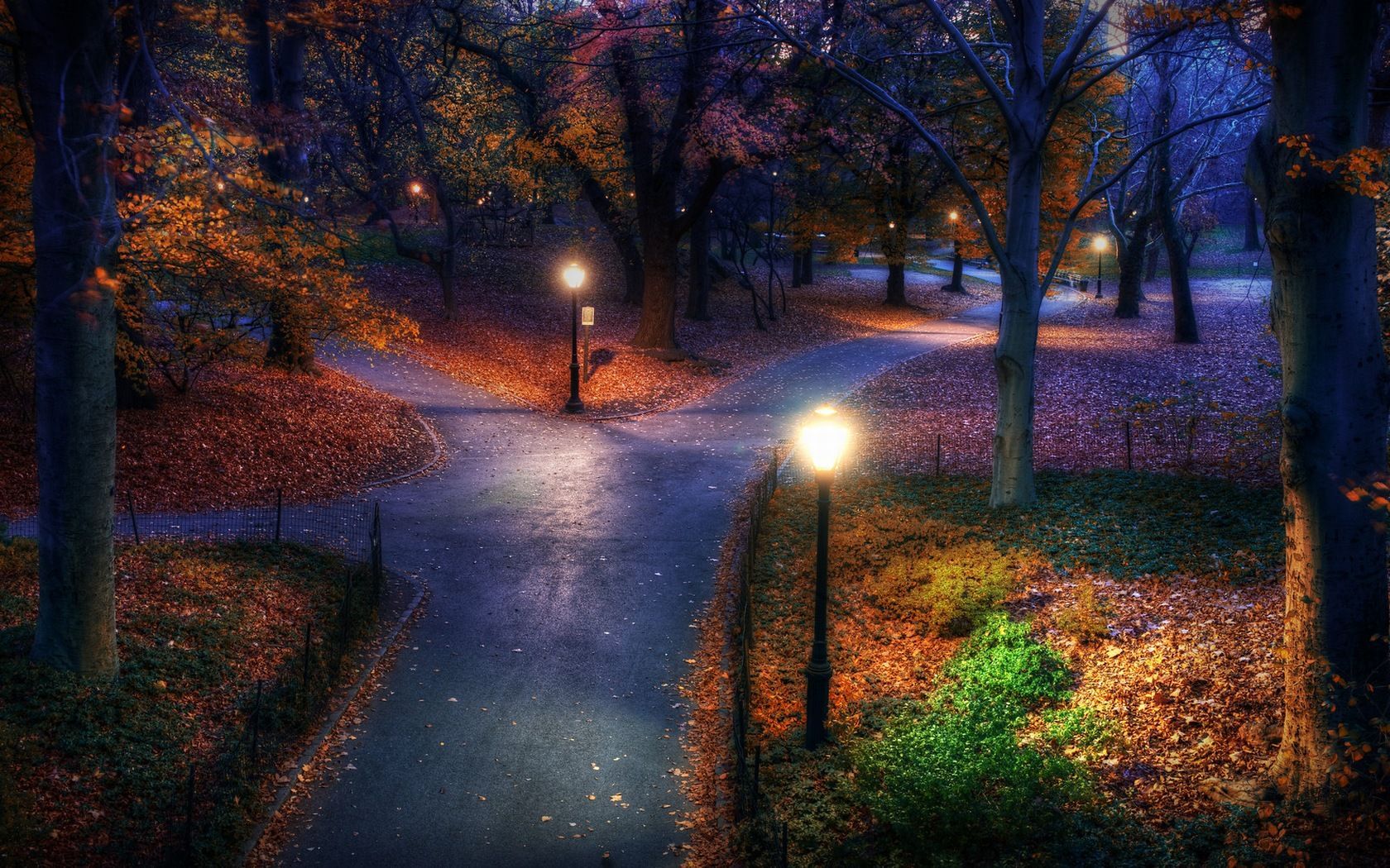 autumncovered Autumn Evening. Central park, Hdr photography, Hdr photo