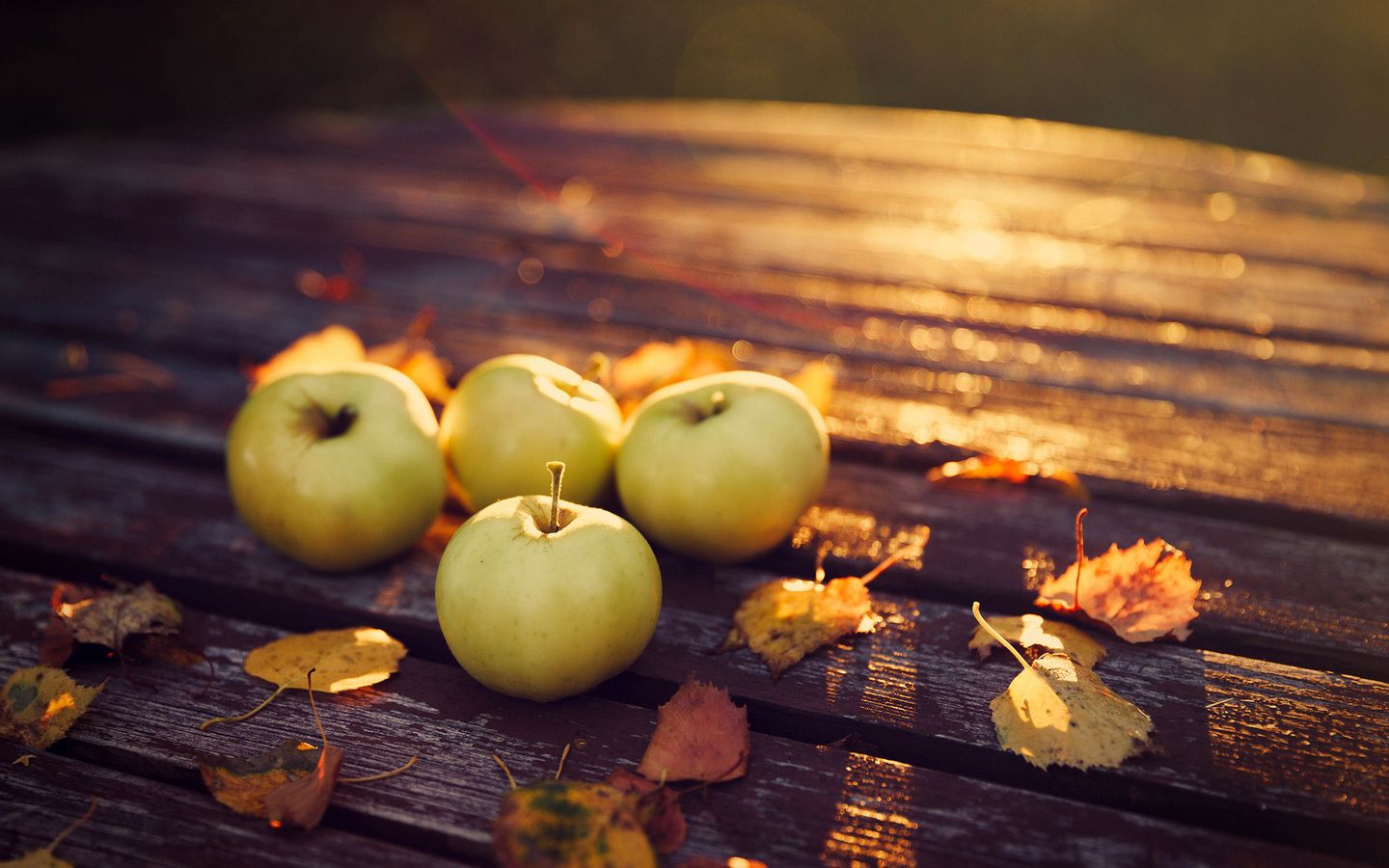 apples, evening, leaves, table, autumn, nature, harvest desktop wallpaper 3194