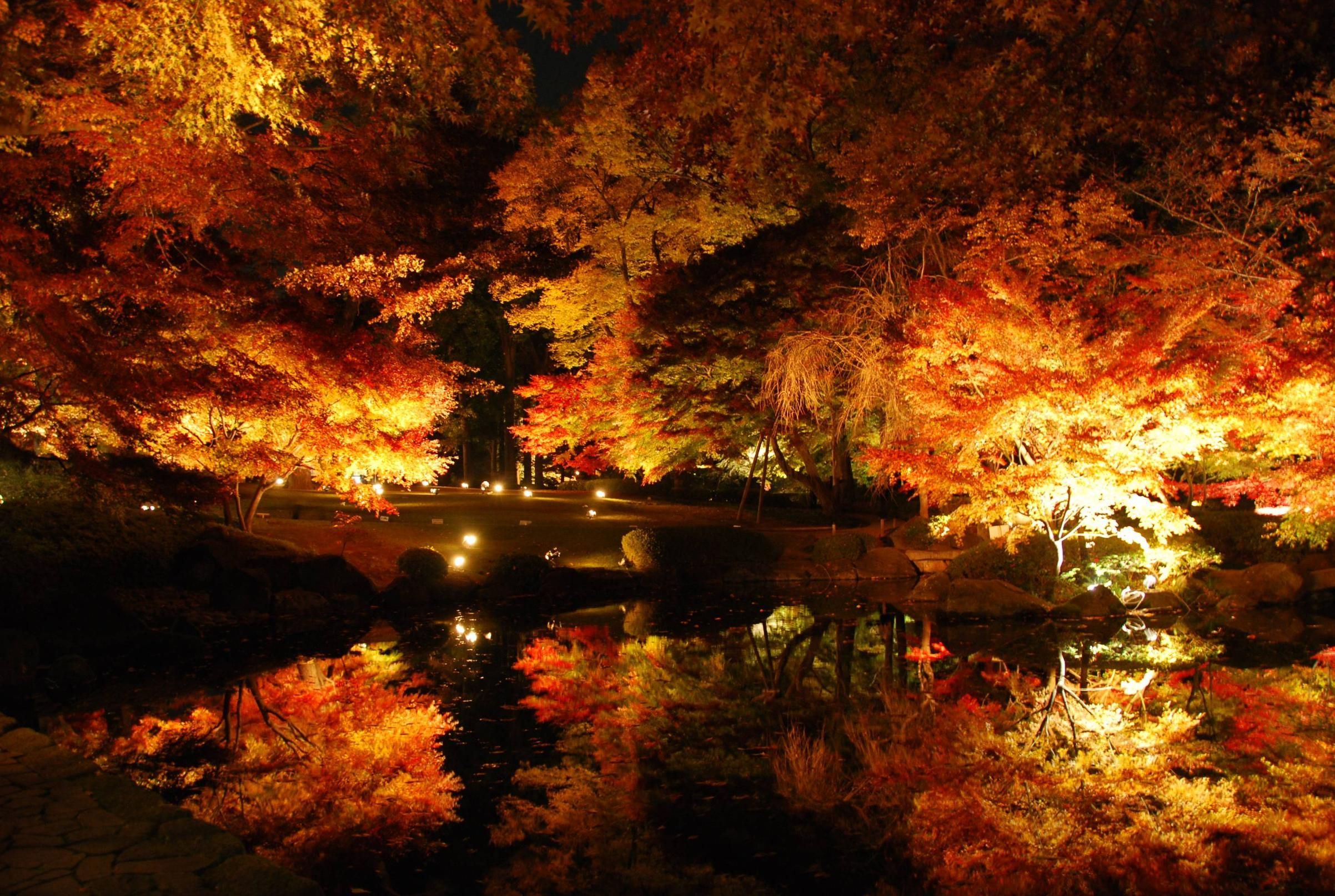 Autumn at Night. Autumn night, Picture, Beautiful photo