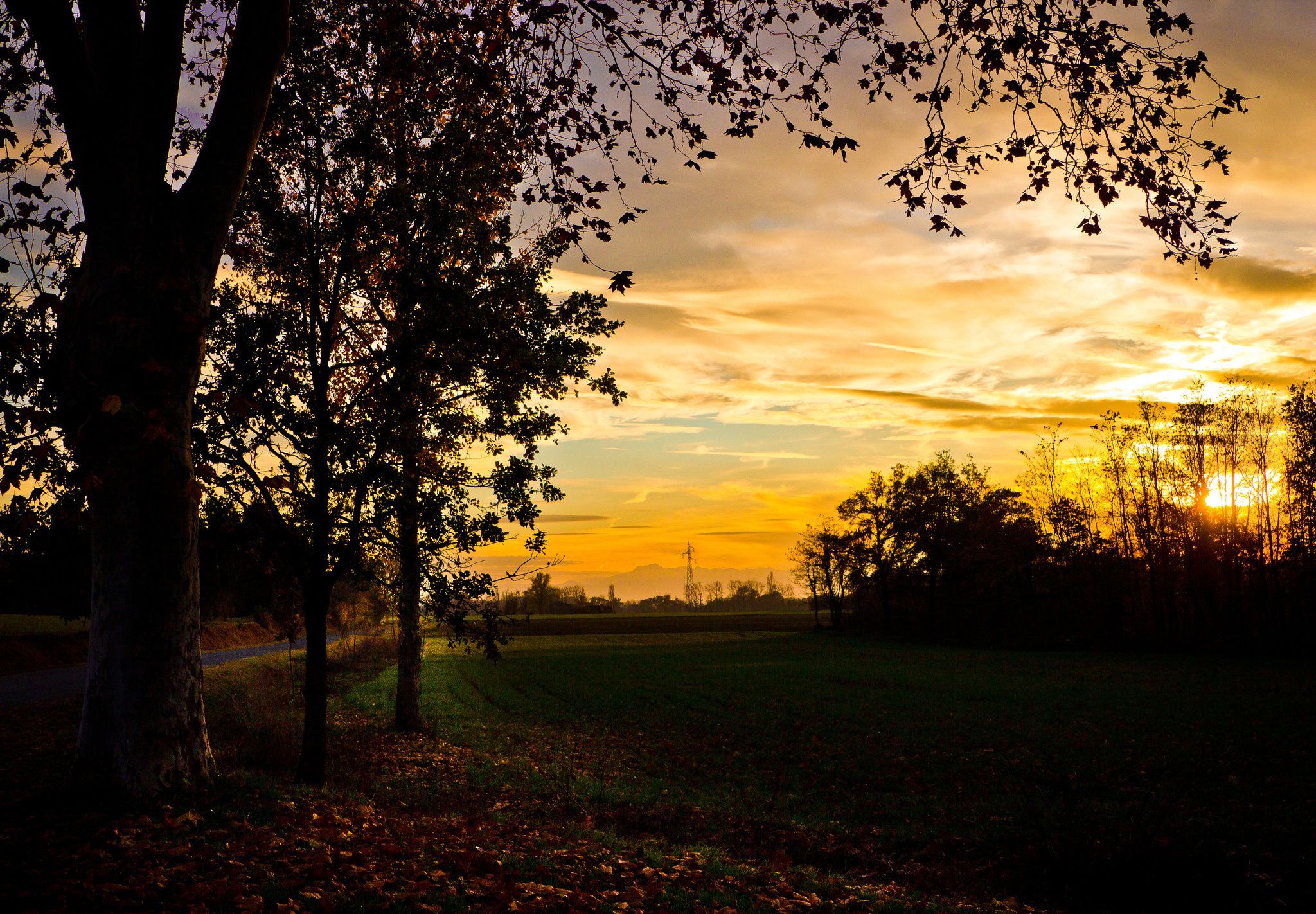 sunset, Field, Trees, Evening, Autumn Wallpaper HD / Desktop and Mobile Background
