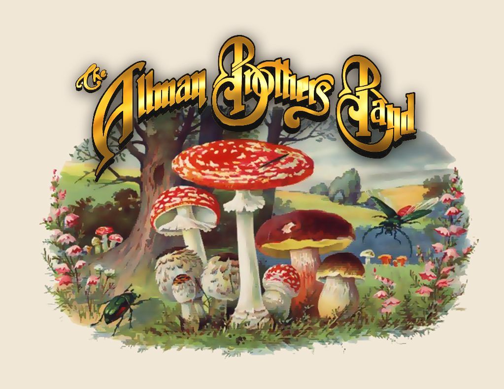 ' THE ALLMAN BROTHERS BAND GREG ALLMAN IS HOT