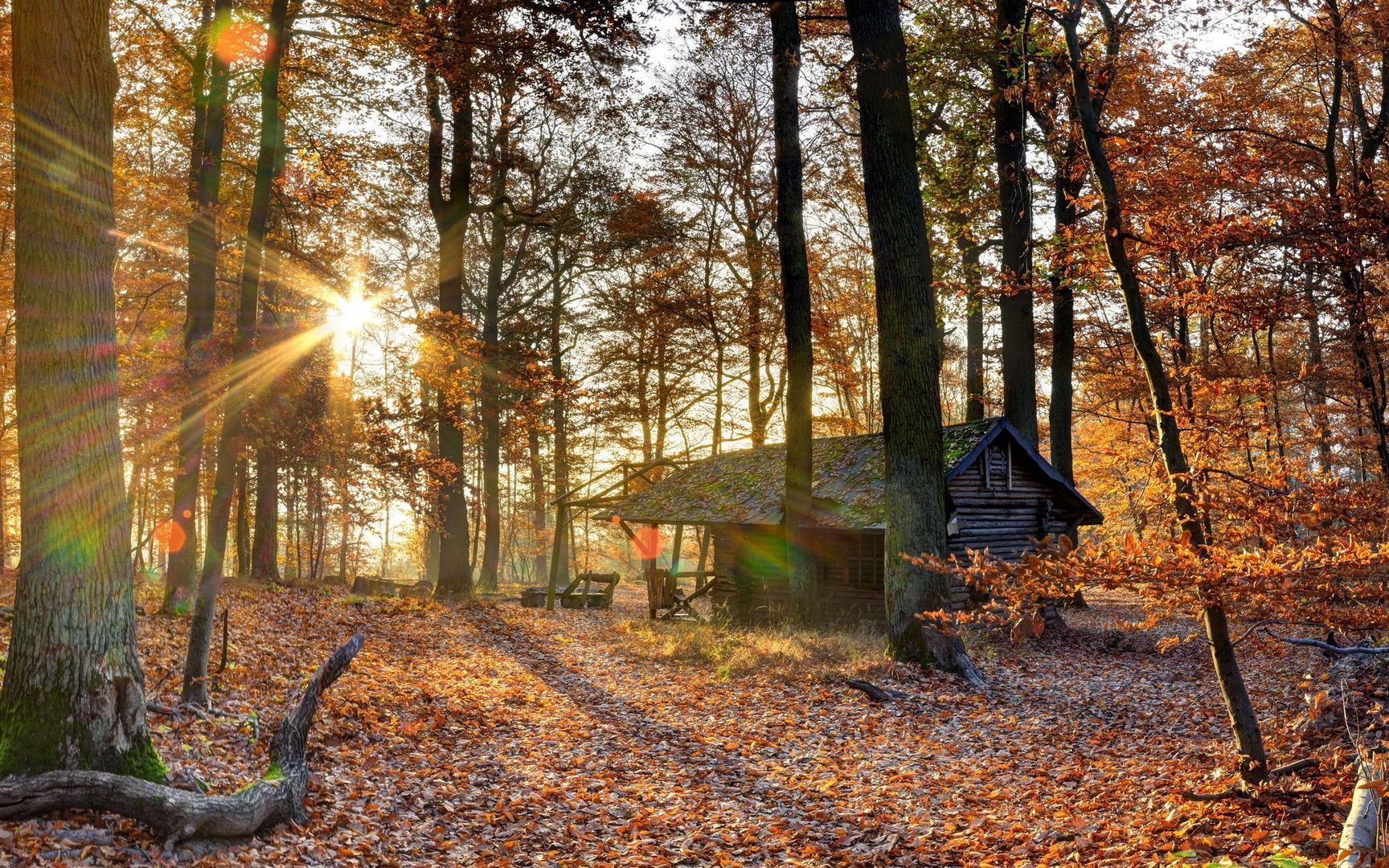 Abandoned cabin in the woods wallpaper. Wood wallpaper, Cabins in the woods, Wallpaper