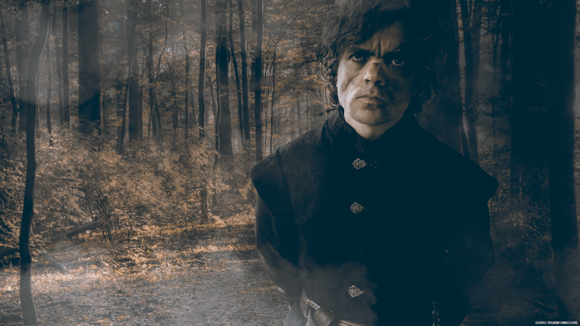 Tyrion Game Of Thrones Season 6, HD Tv Shows, 4k Wallpaper, Image, Background, Photo and Picture