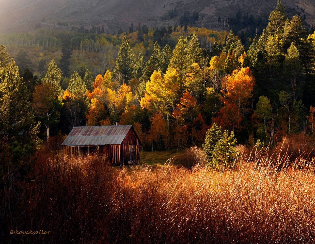 17 Cabin in the woods by kayaksailor 632 :: The Cabin In The Autumn Woods W...