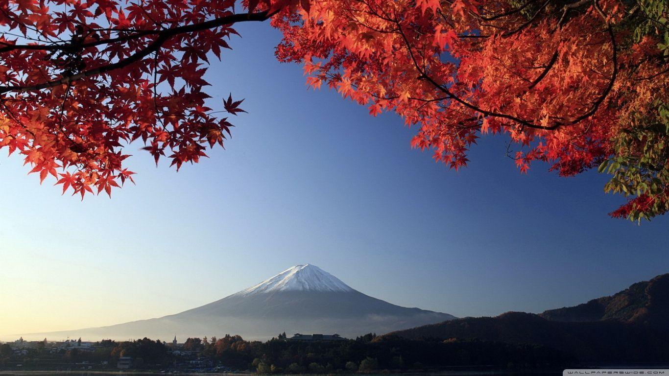 Autumn, Mount Fuji, Japan HD desktop wallpaper, High Definition