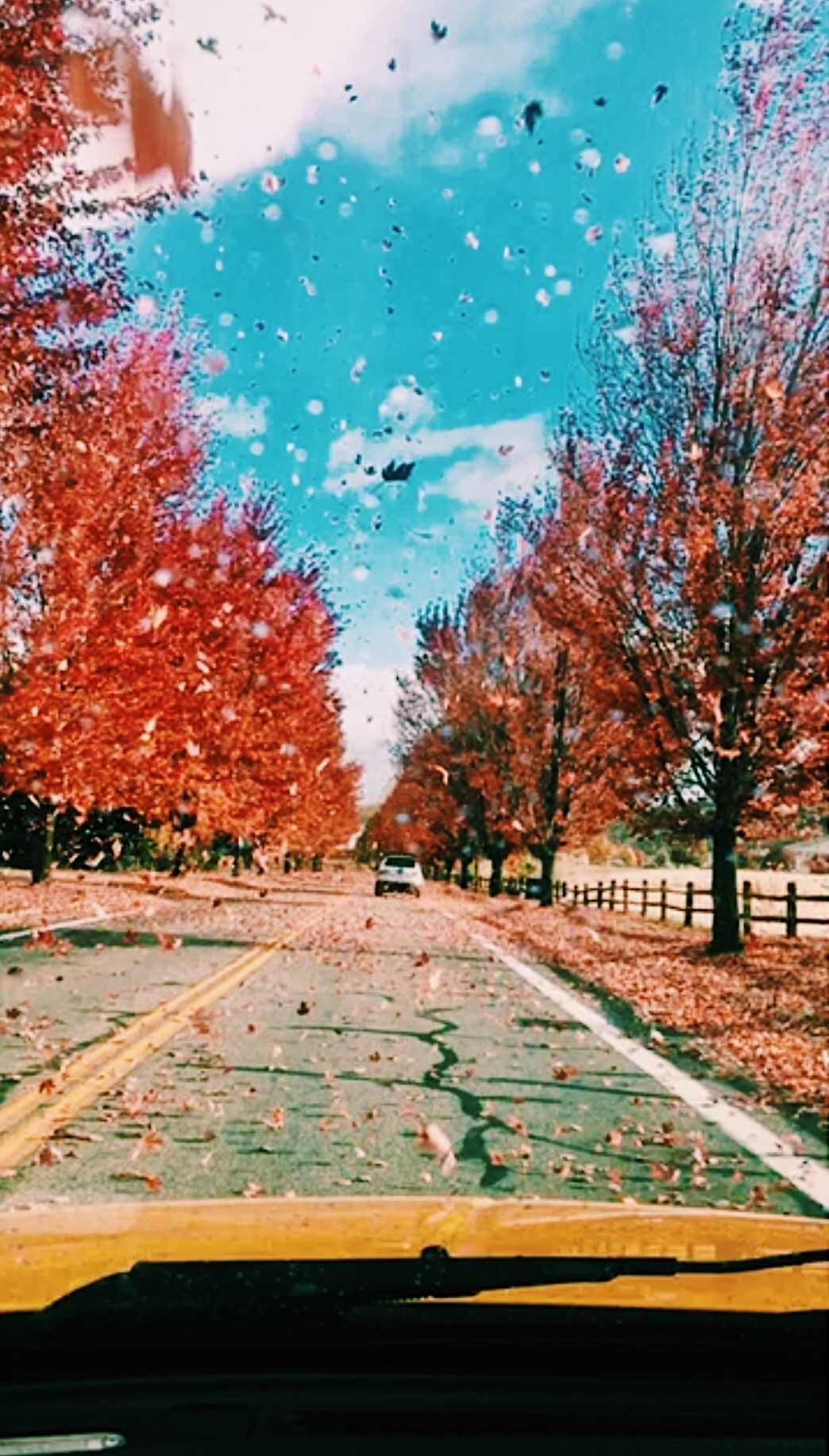 Aesthetic. Fall picture, Fall photo, Fall wallpaper