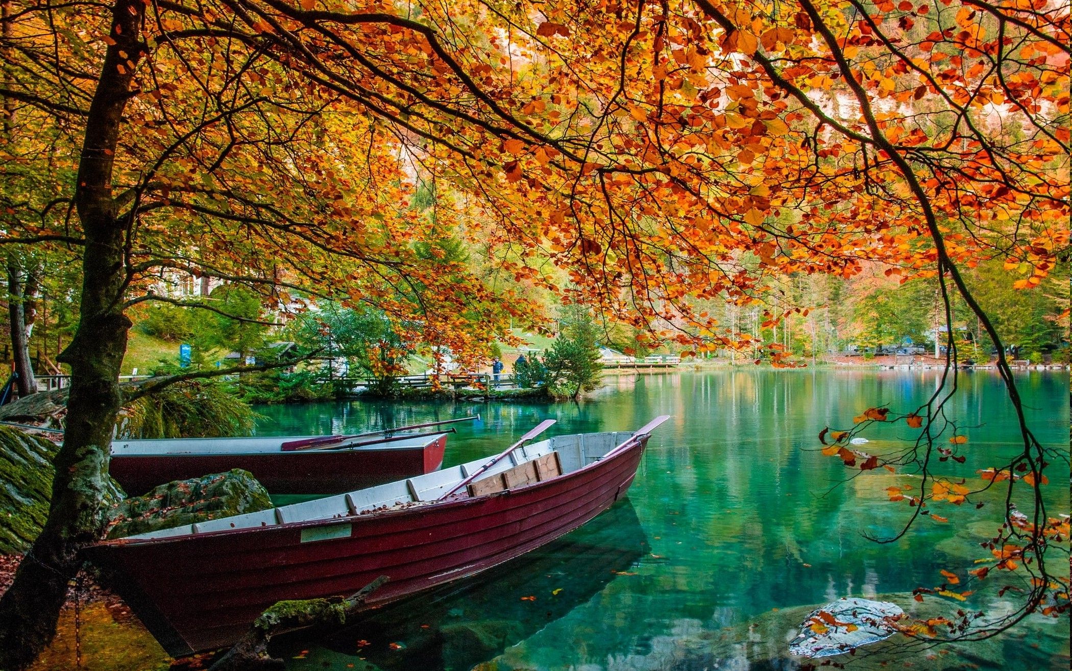 nature, Landscape, Lake, Trees, Boat, Leaves, Fall, Green, Water Wallpaper HD / Desktop and Mobile Background