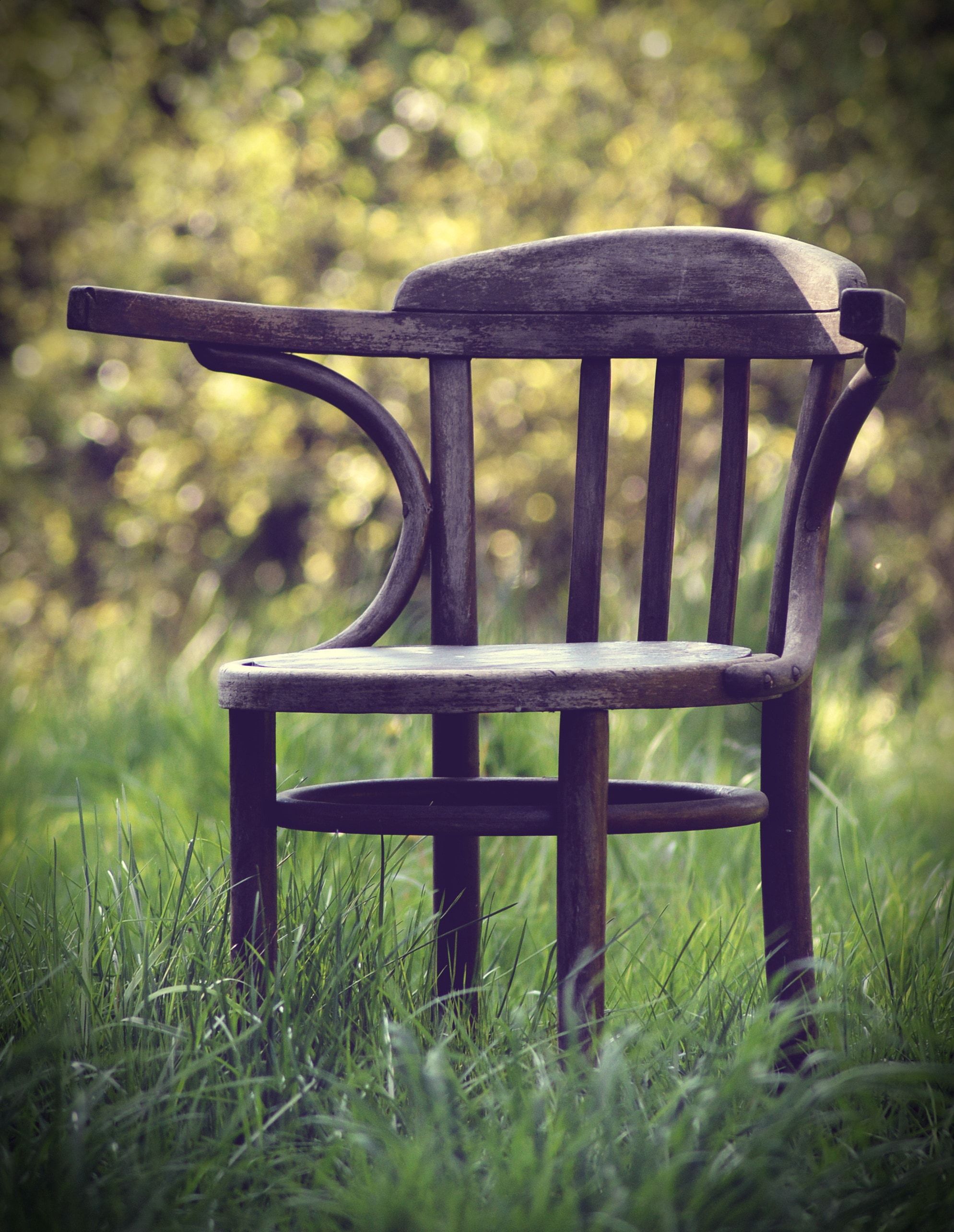 royalty free garden chairs image