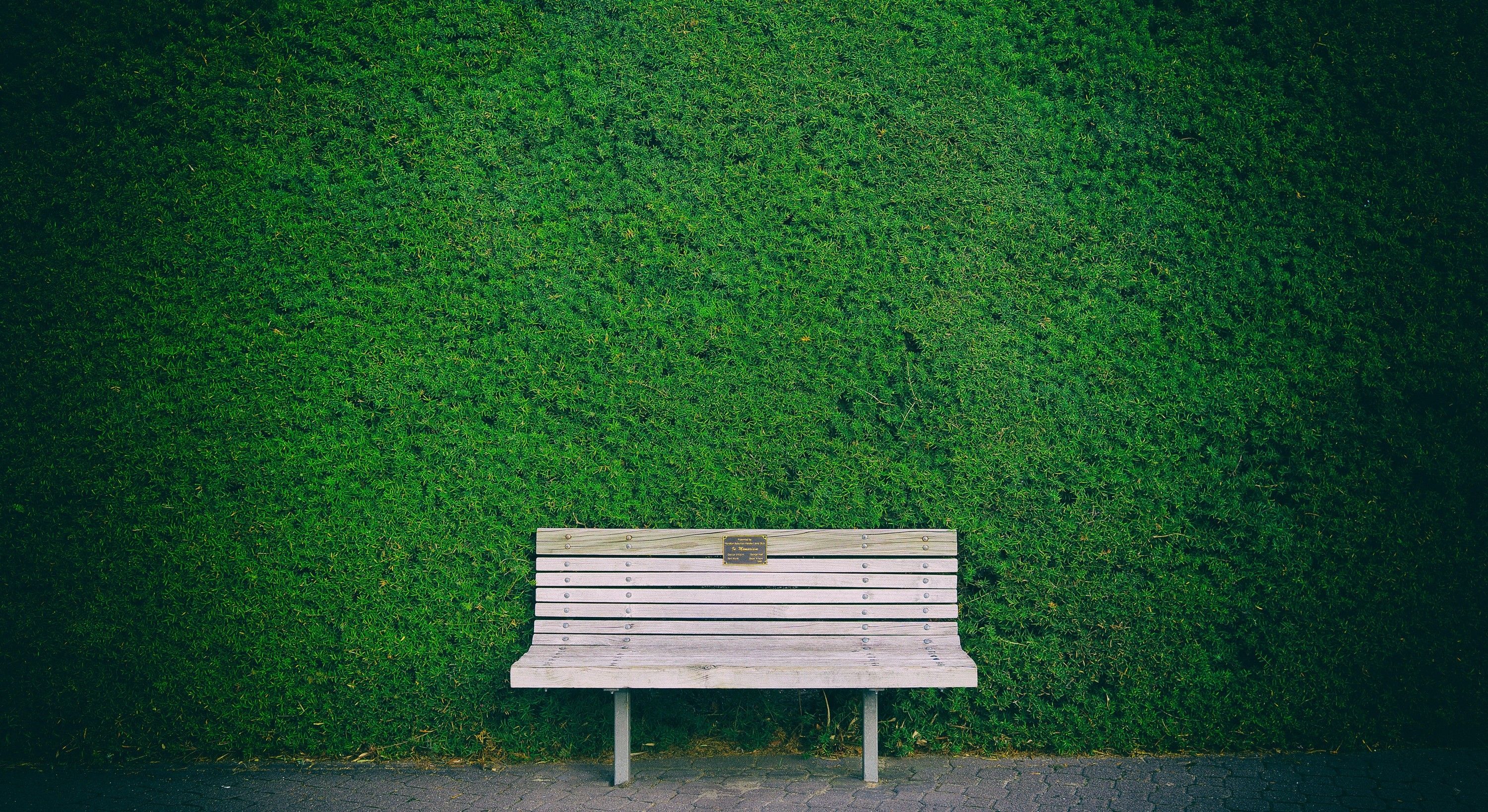 Beautiful Bench In Garden, HD Nature, 4k Wallpaper, Image, Background, Photo and Picture