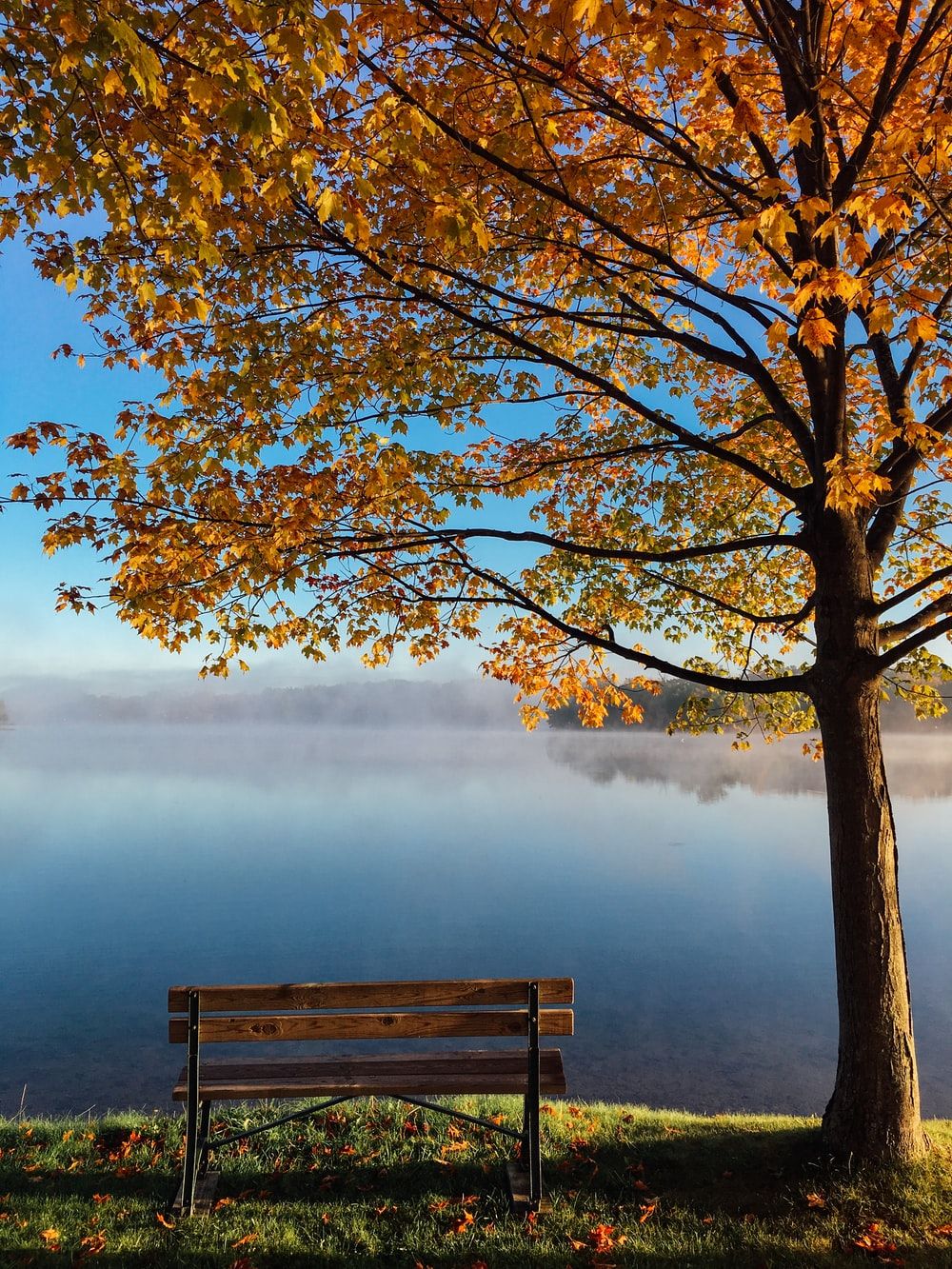 Bench Picture [HD]. Download Free Image