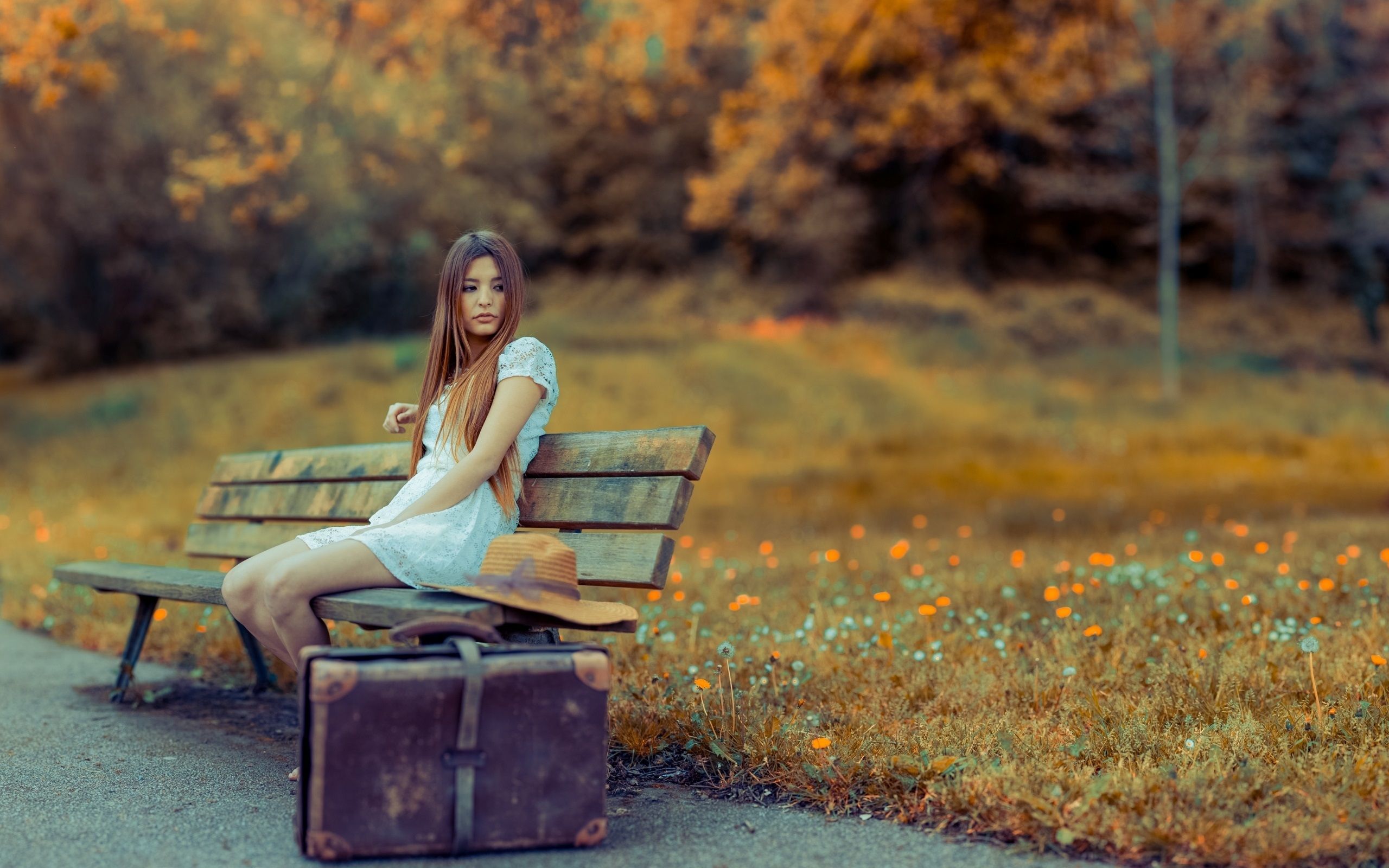 Wallpaper White dress girl, suitcase, wooden chair, flowers 2560x1600 HD Picture, Image