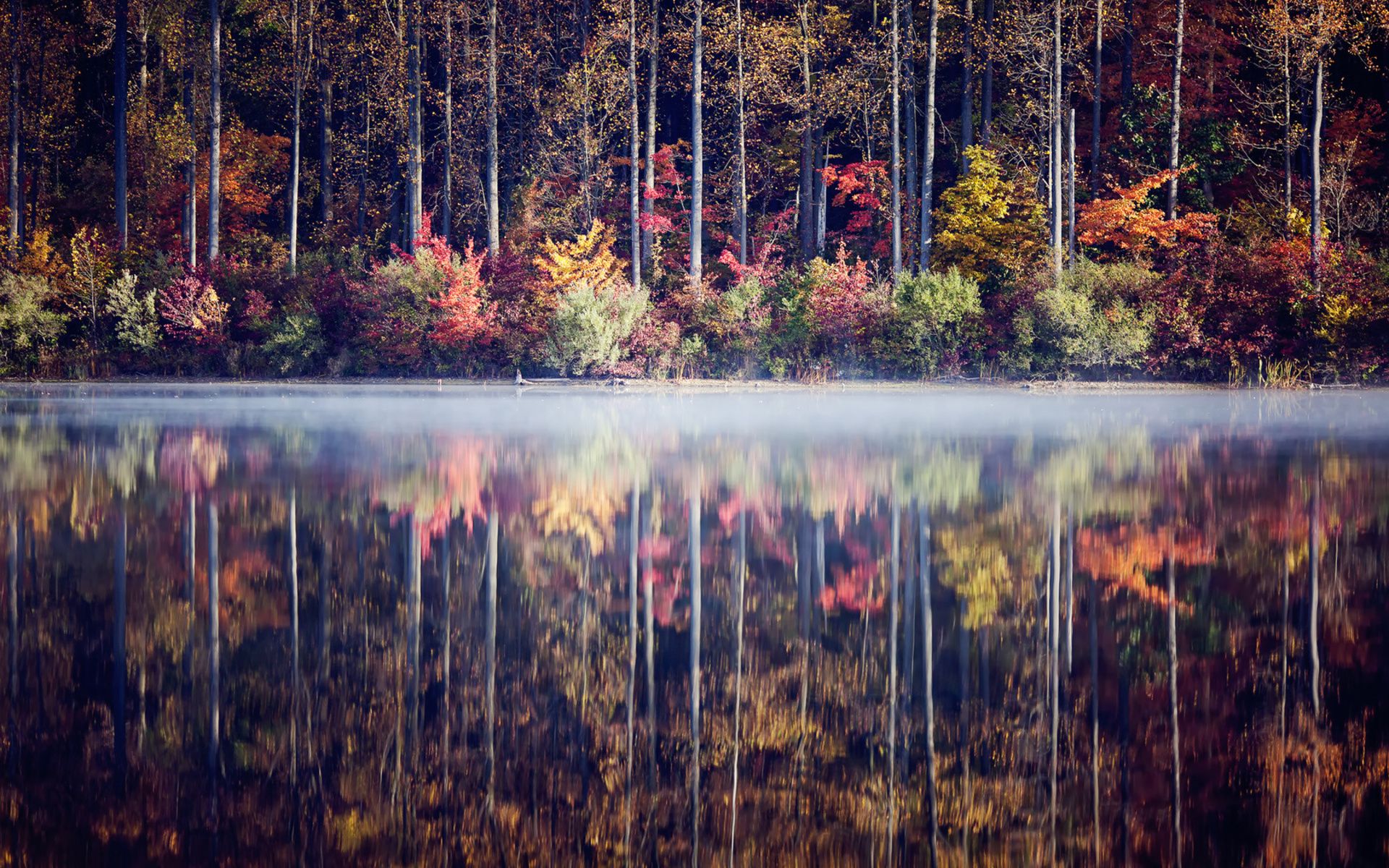 Fog water reflection fog trees forest leaves autumn fall wallpaperx1200