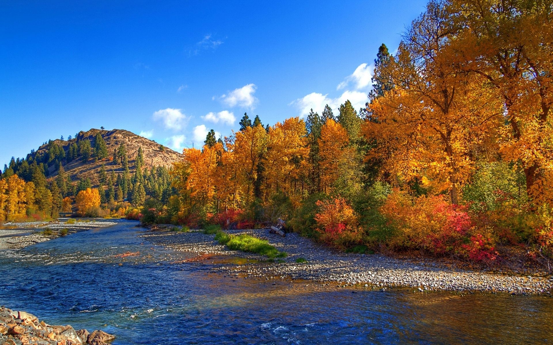 Peak Autumn Trees Lovely River wallpaper. Peak Autumn Trees Lovely River