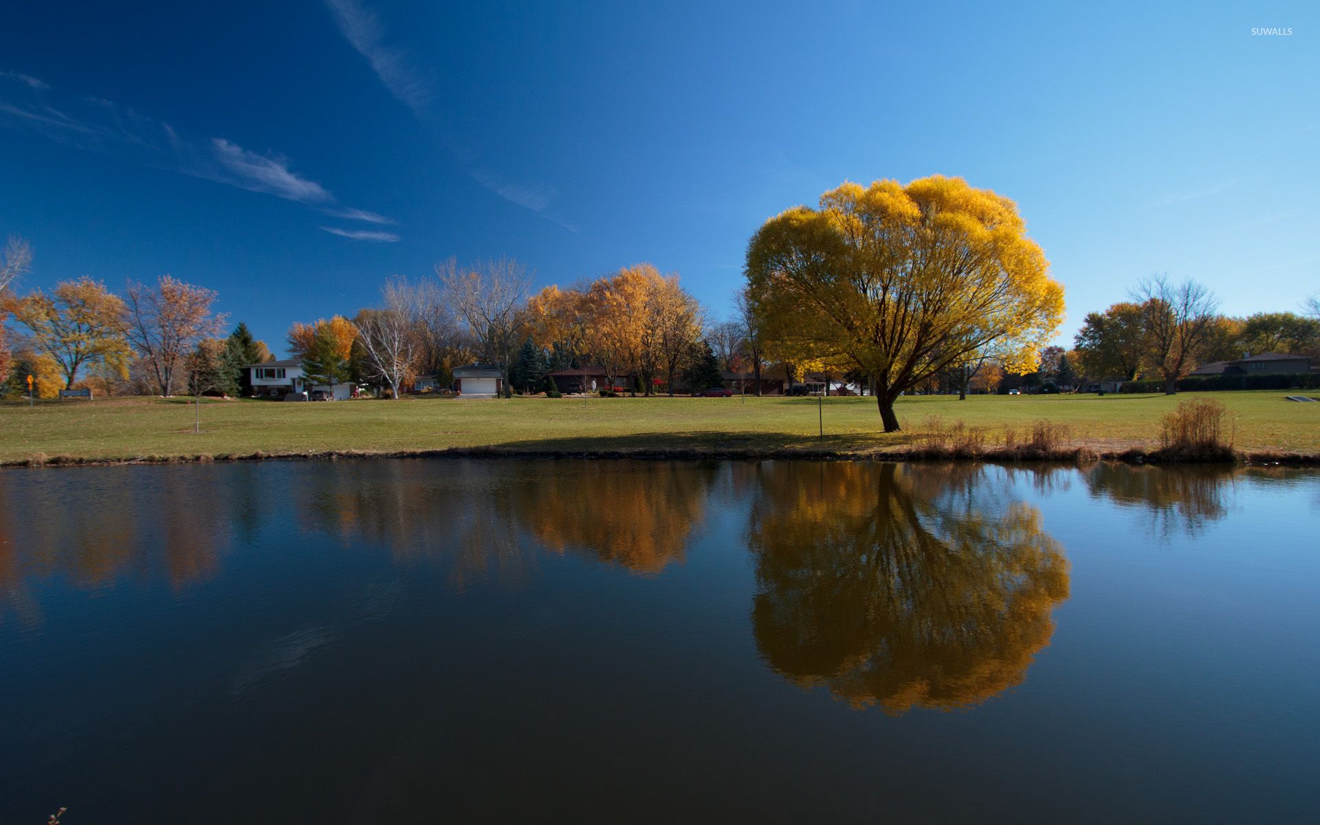 Autumn trees reflecting in the water wallpaper wallpaper