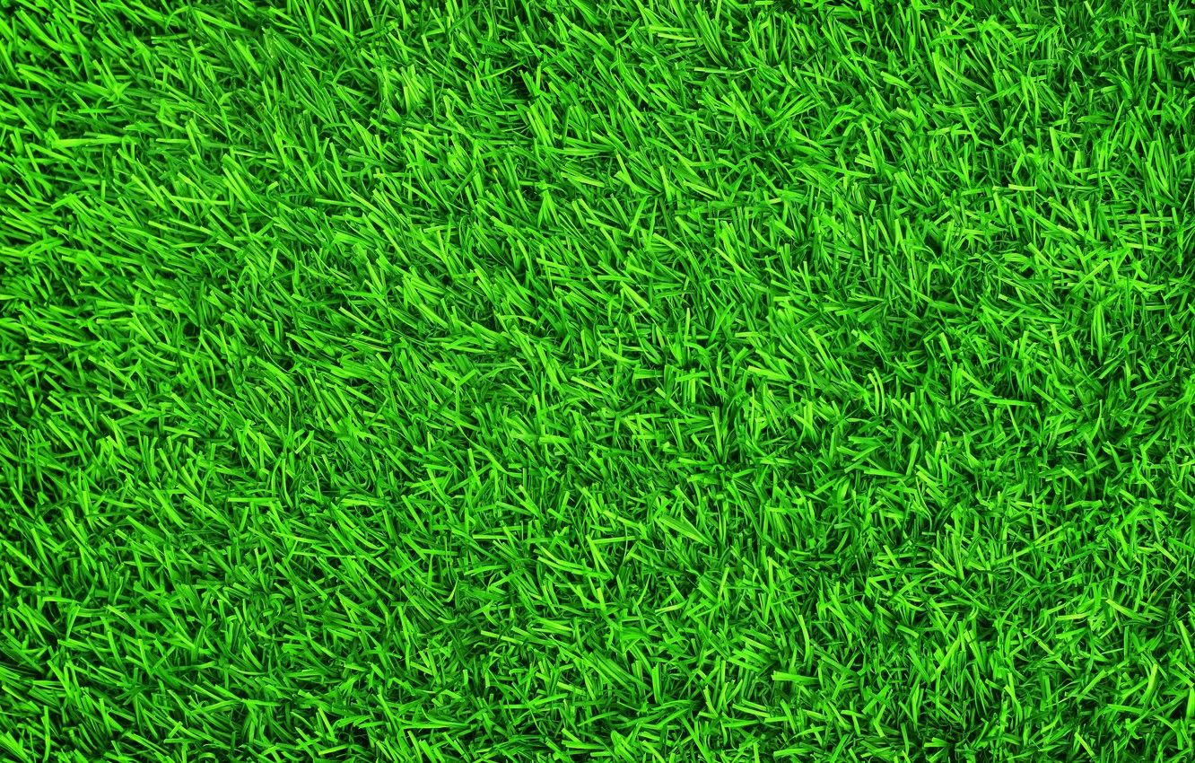 Wallpaper grass, background, lawn, green, summer, grass, green image for desktop, section текстуры