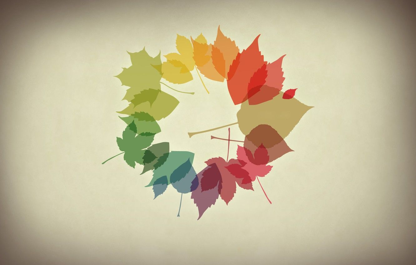 Wallpaper autumn, leaves, minimalism image for desktop, section минимализм