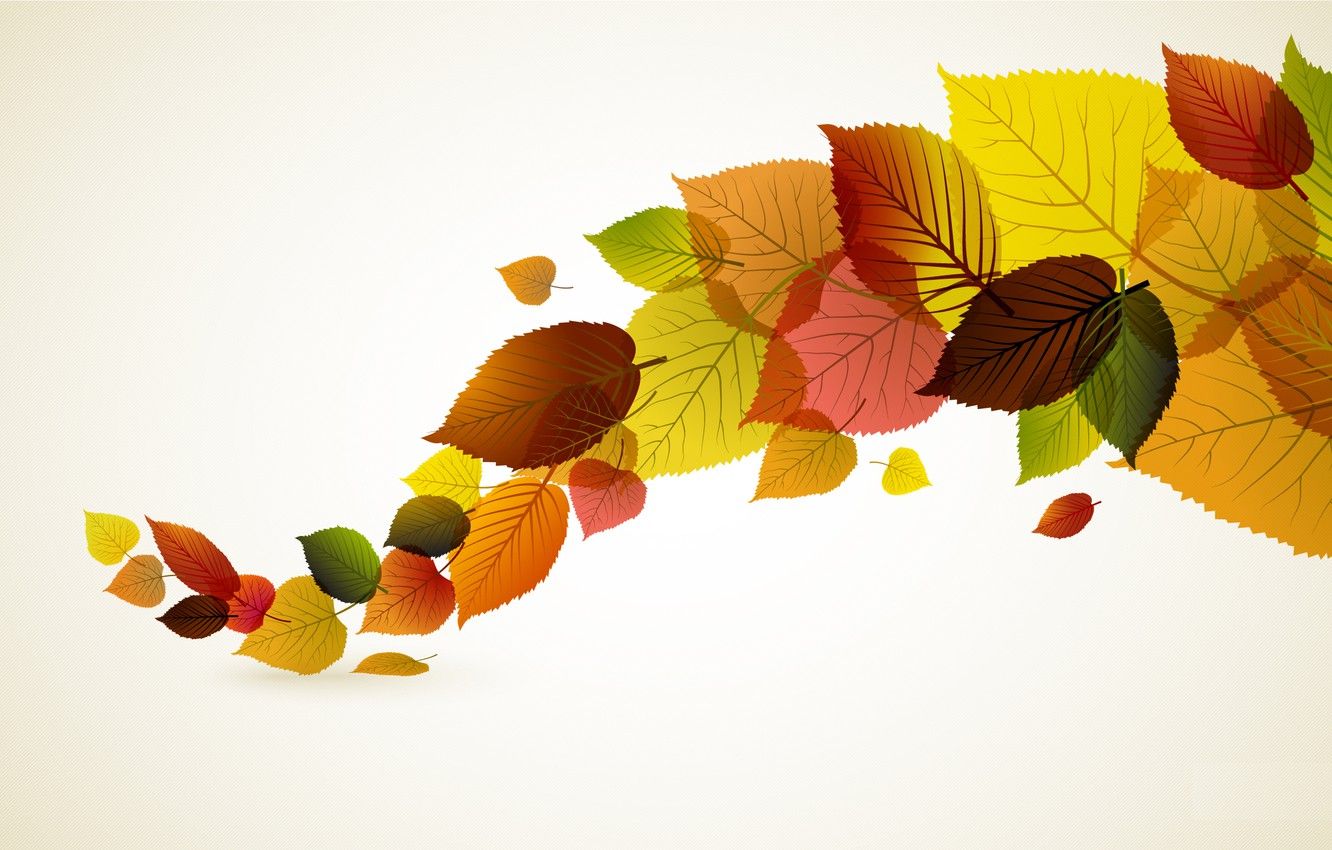 Wallpaper autumn, leaves, minimalism, vector image for desktop, section минимализм