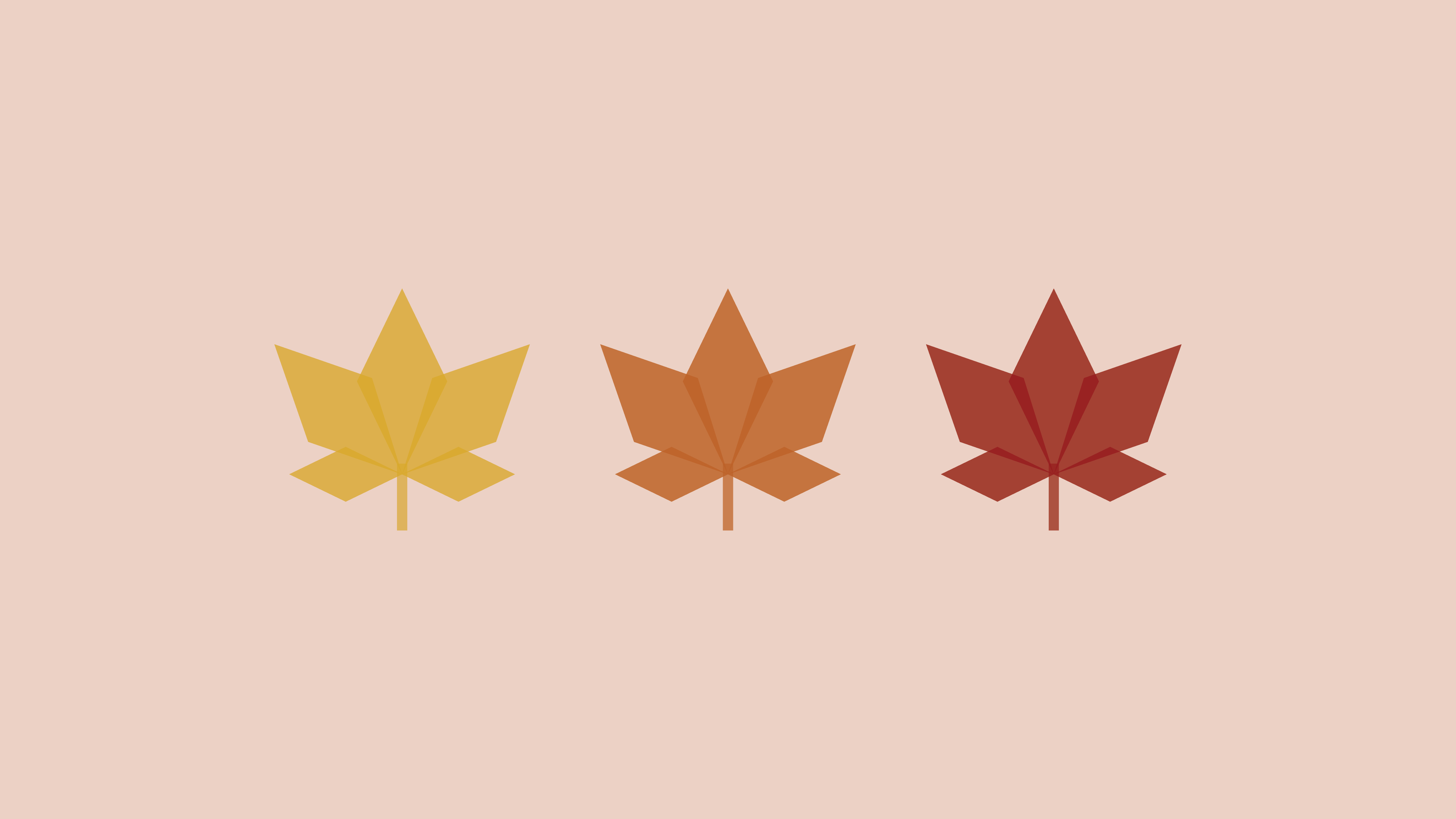 Minimalist Desktop Wallpaper Leaves