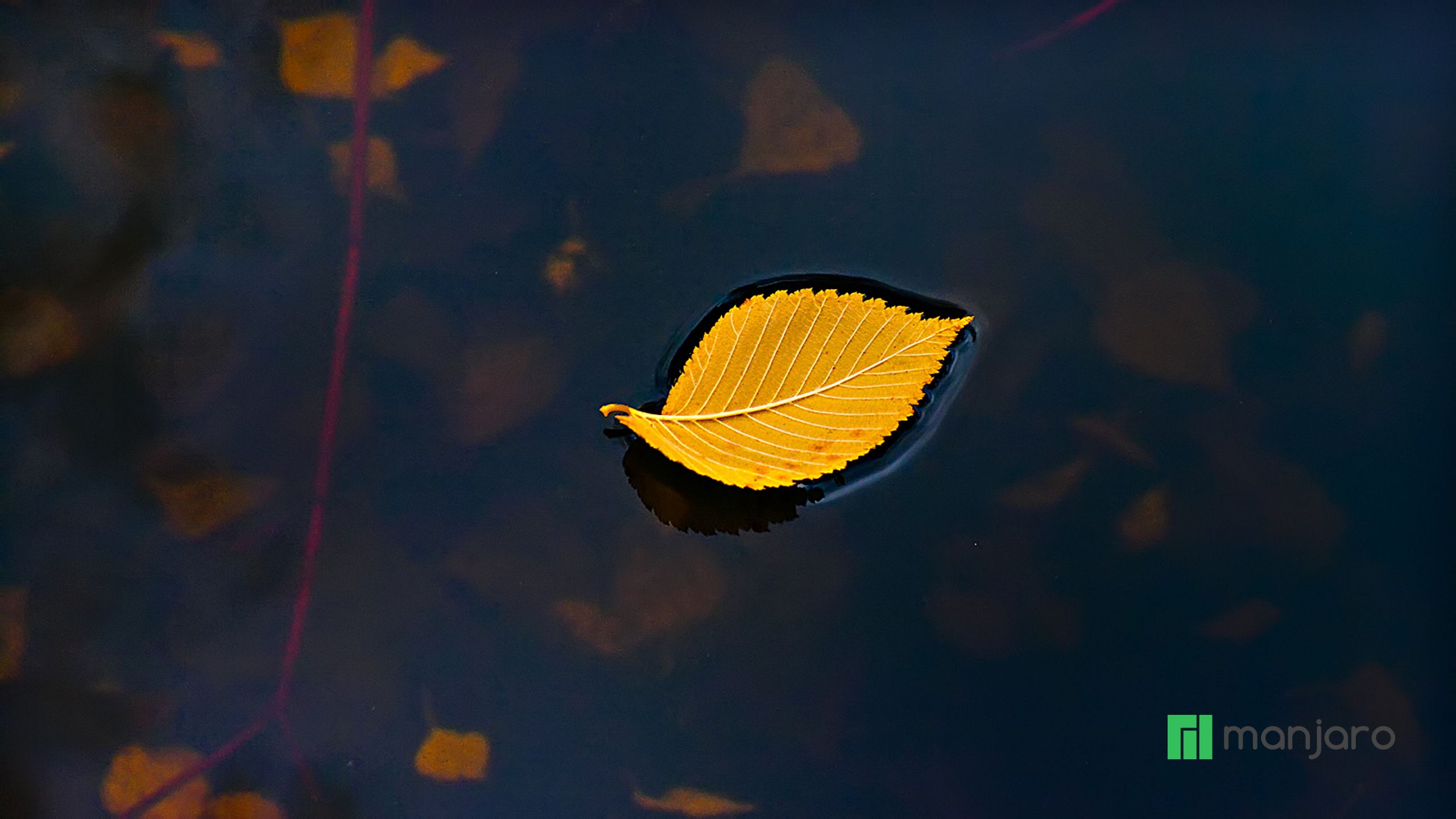 Minimalist Autumn Desktop HD Wallpaper