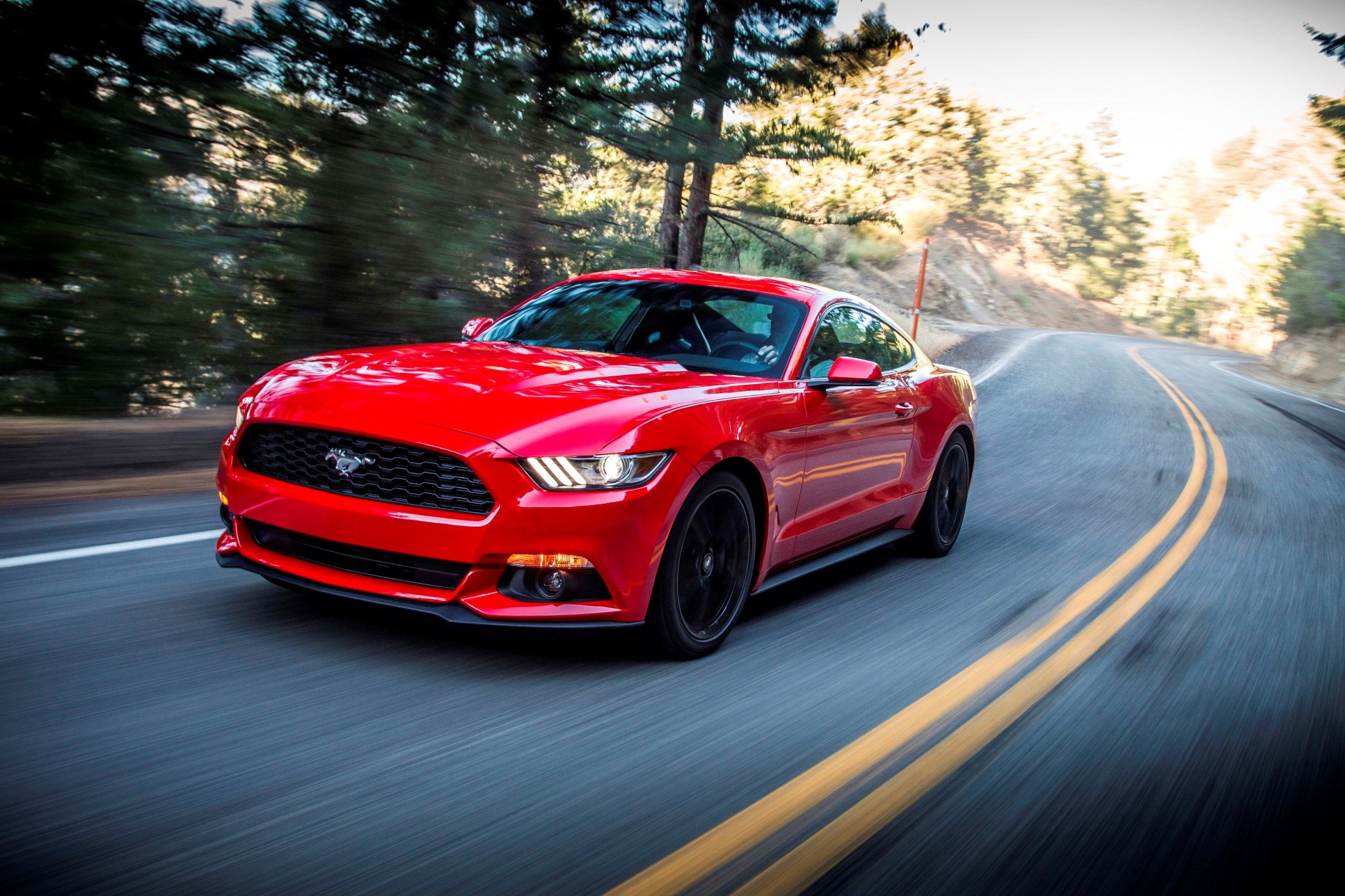 Red Mustang on the Road HD Wallpaper