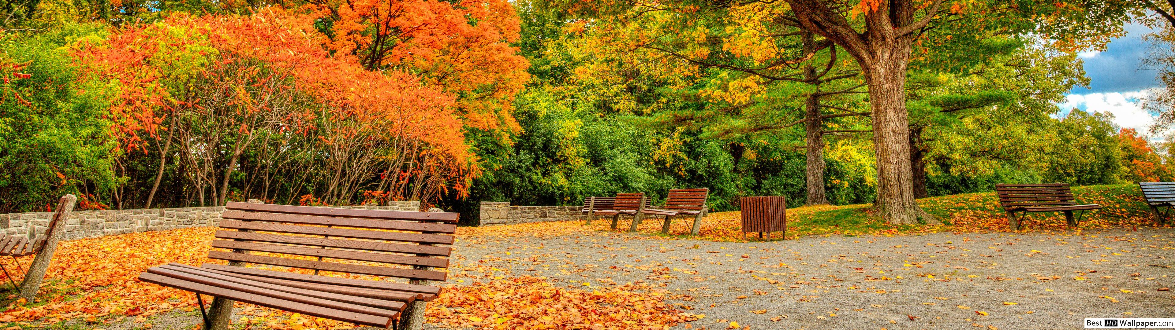 Bench in Autumn Park HD wallpaper download