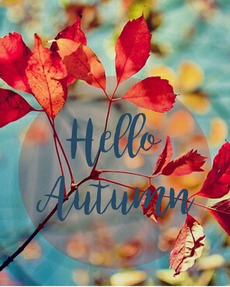 Hello Autumn Wallpaper Free Hello Autumn Background