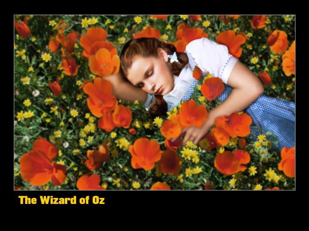 Dorothy Background. Dorothy of Oz Wallpaper, Dorothy Wizard of Oz Wallpaper and Dorothy Chandler Pavilion Wallpaper