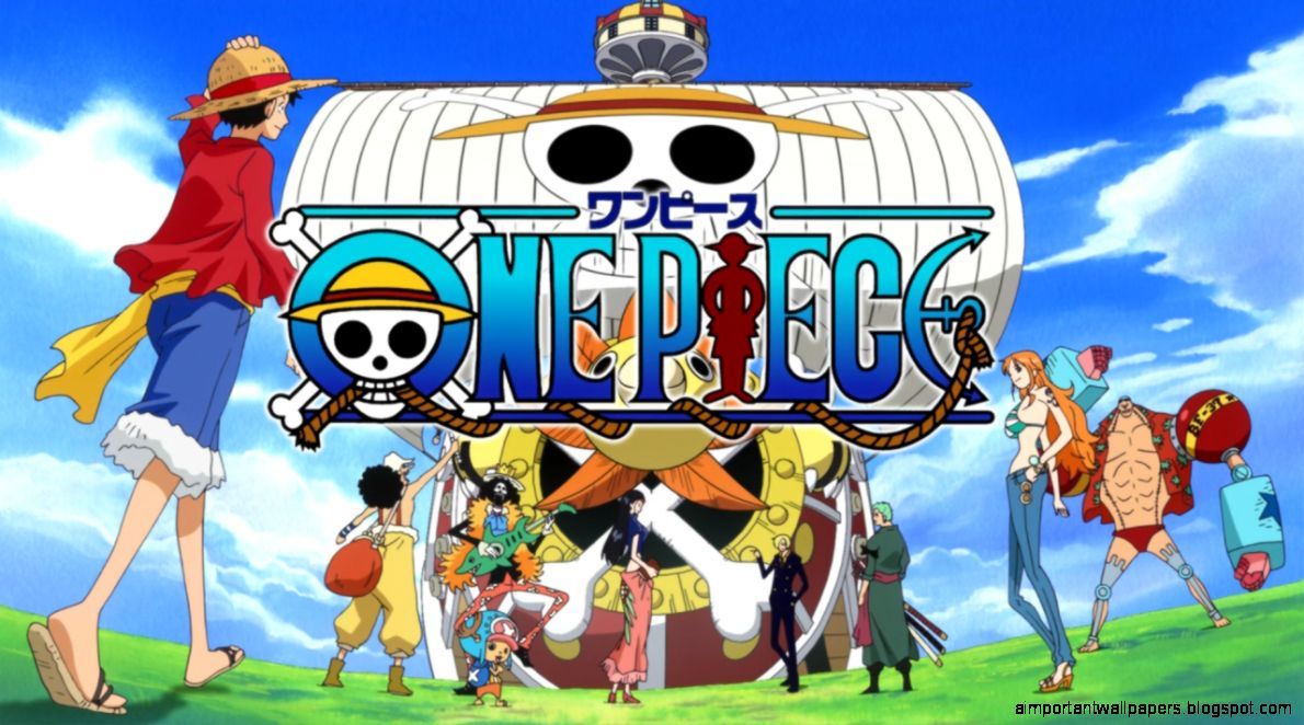 One Piece Thousand Sunny And Team