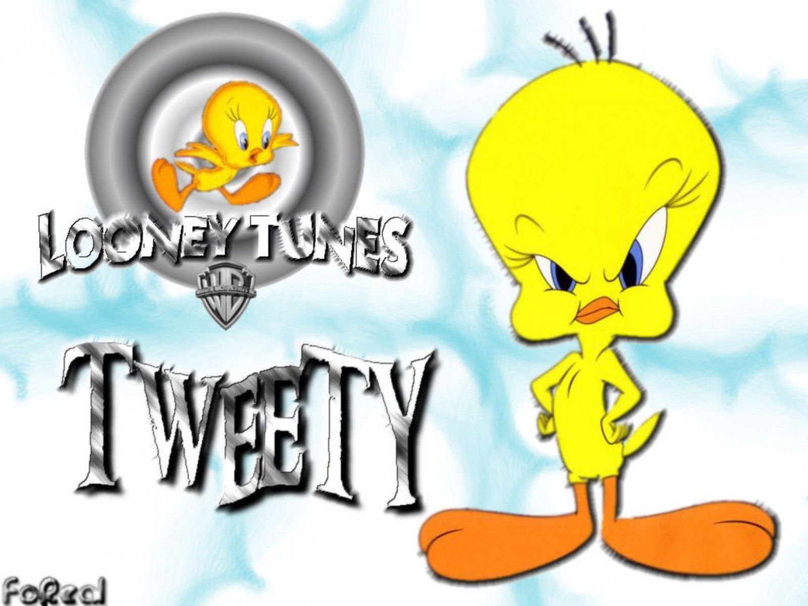 Free download tweety pie Computer Wallpaper Desktop Background [1600x1200] for your Desktop, Mobile & Tablet. Explore Tweety Pie Wallpaper. Easter Tweety Wallpaper, Tweety Bird Wallpaper for Desktop, Tweety Wallpaper