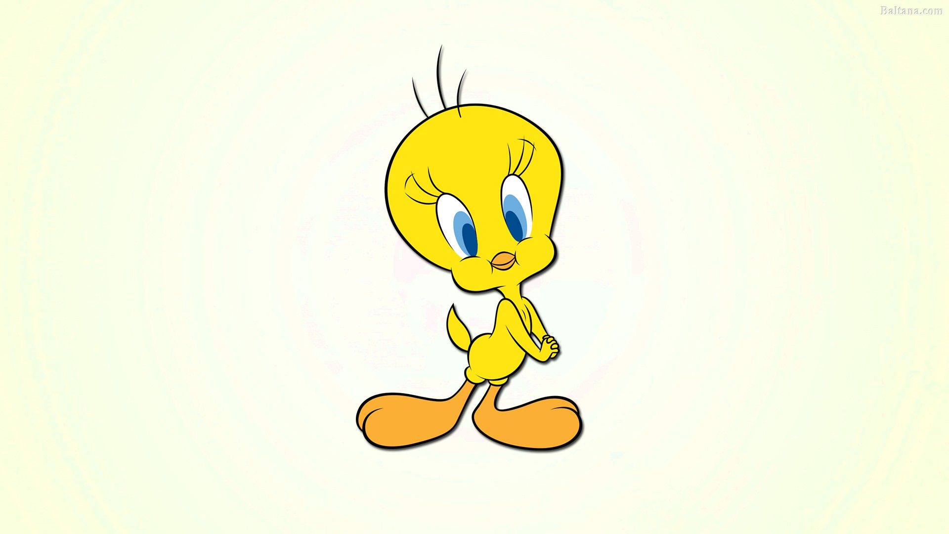 Tweety Bird Wallpaper For Android