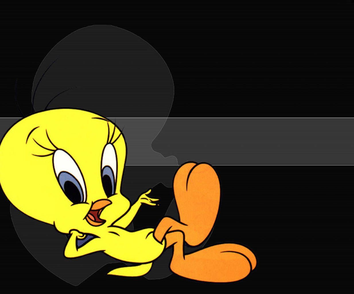 Tweety Pie High Definition HD Wallpaper HD Wallpaper. Tweety, All HD wallpaper, HD wallpaper